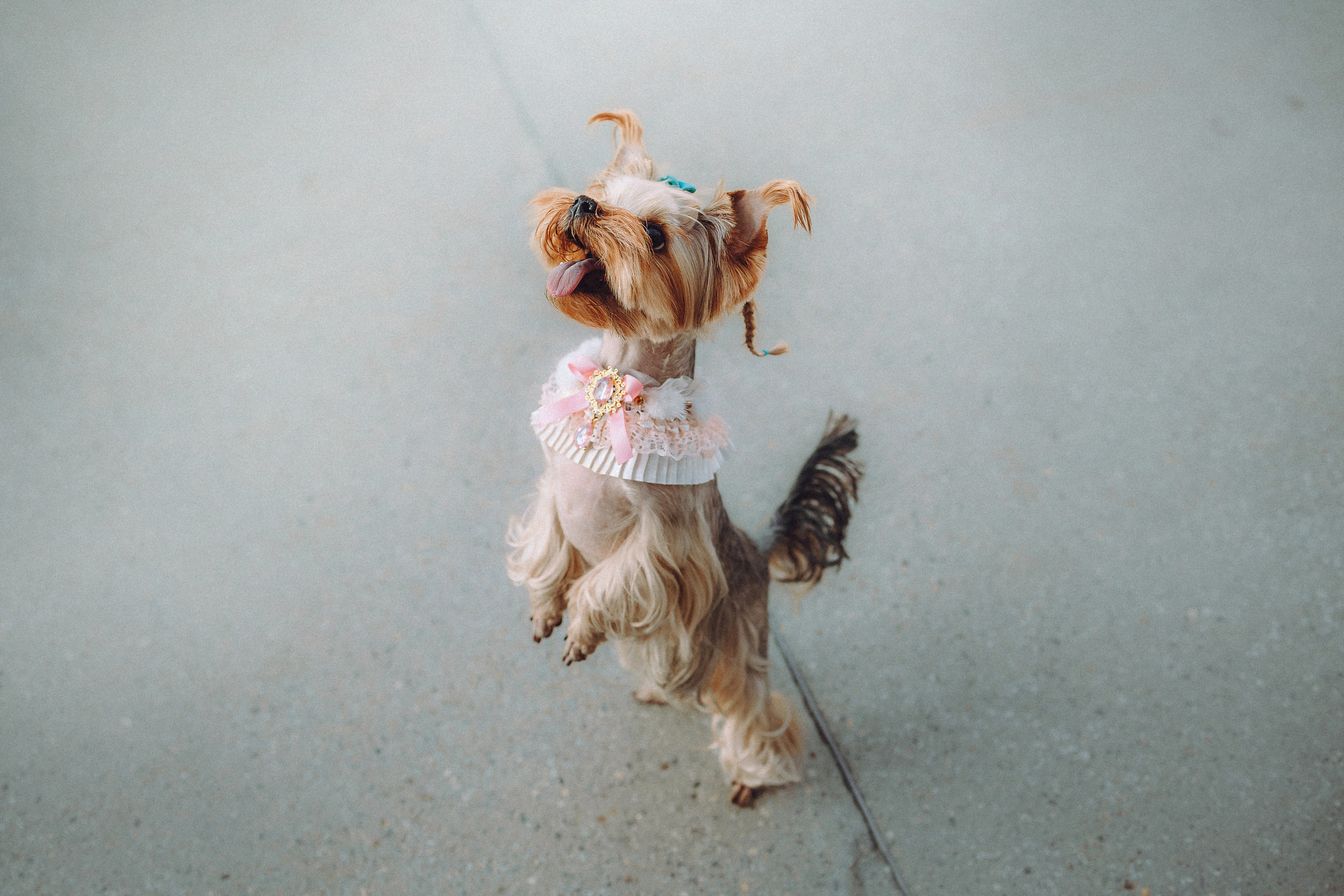 Дженни, Оливия и их семья