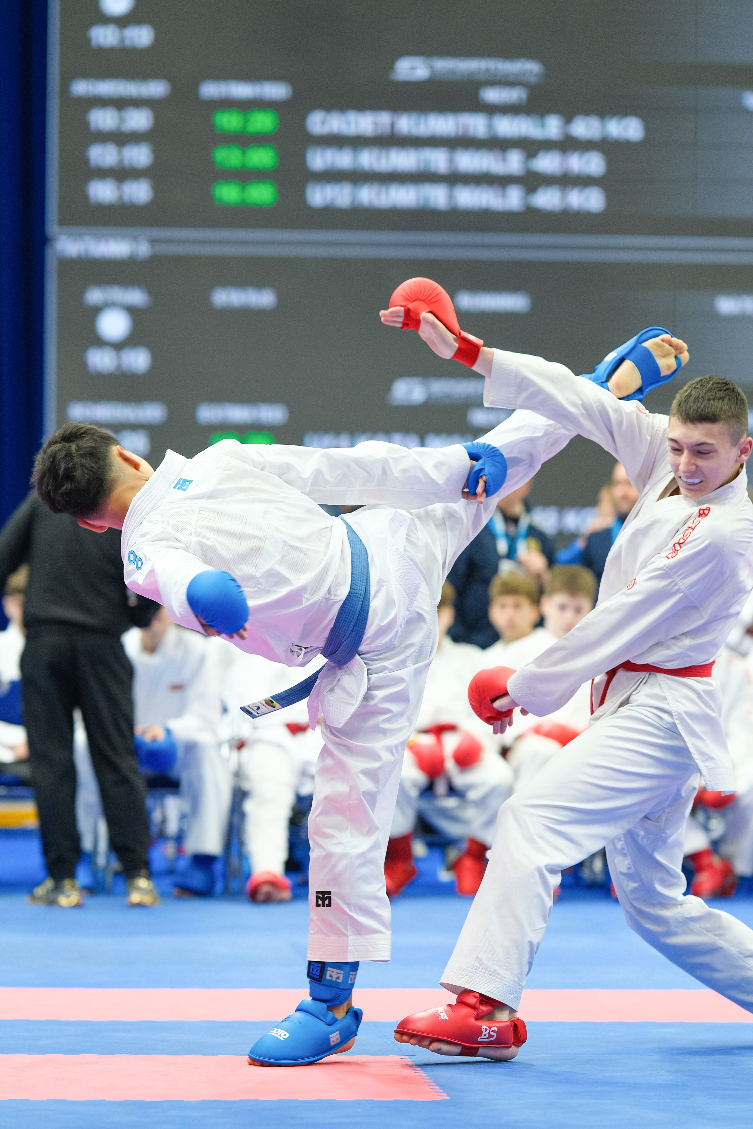Международный турнир по карате «Belarus Open». Https://www.instagram.com/paparrazzio