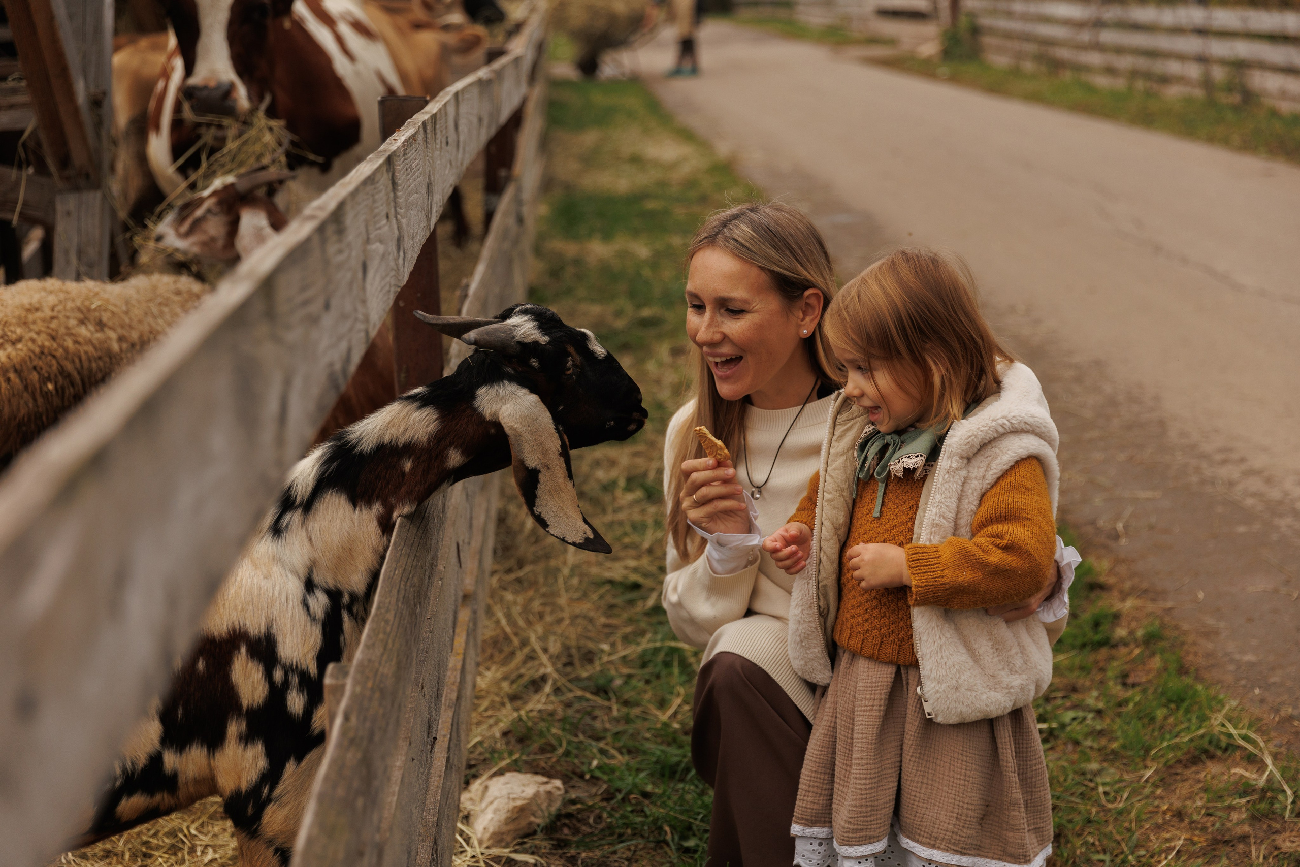 Осенняя прогулка (село Остров). Фотограф в Красногорске и Москве