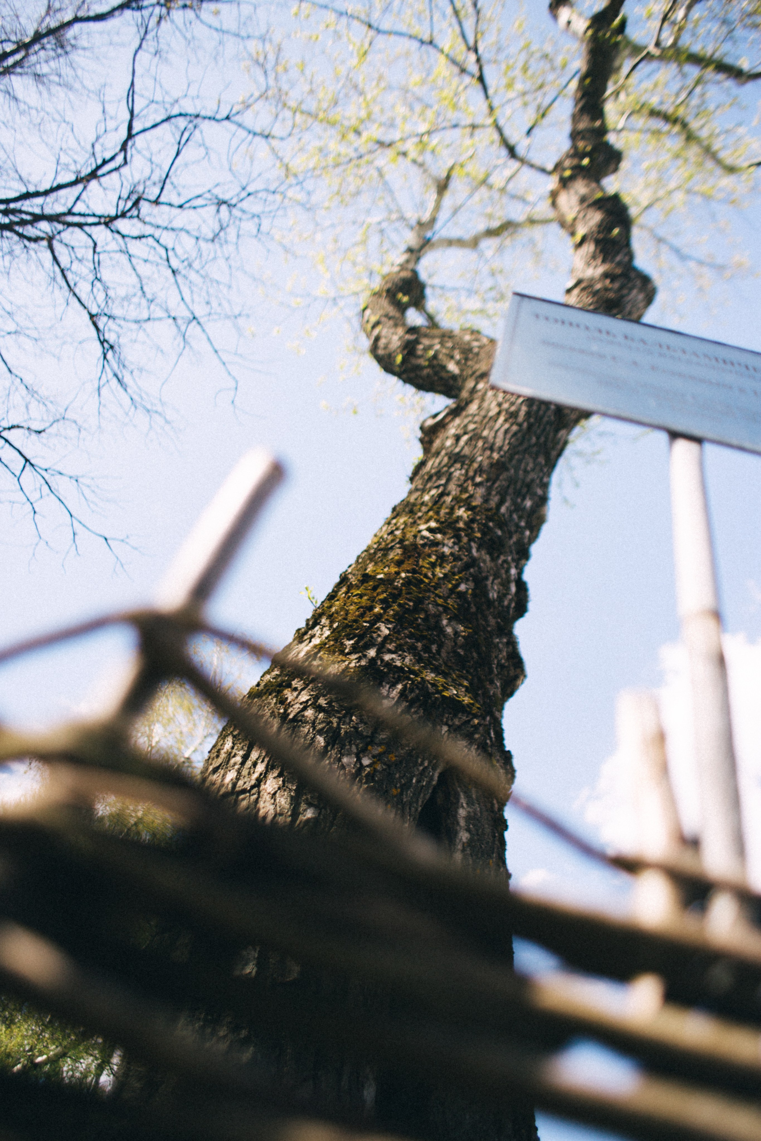 Москва- Рязань 2021. Фотограф в Нижнем Новгороде