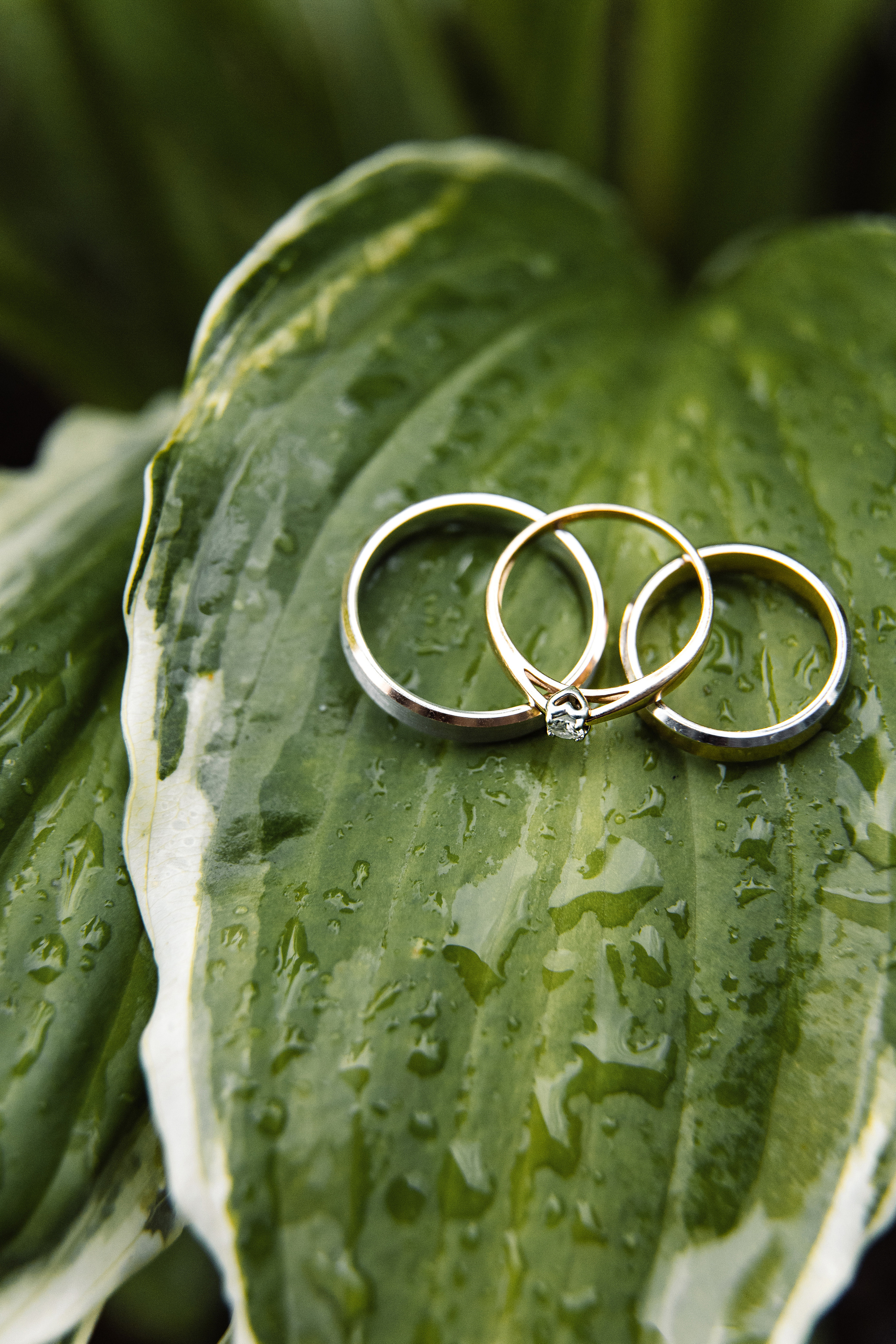 Свадьба Сергея и Александры