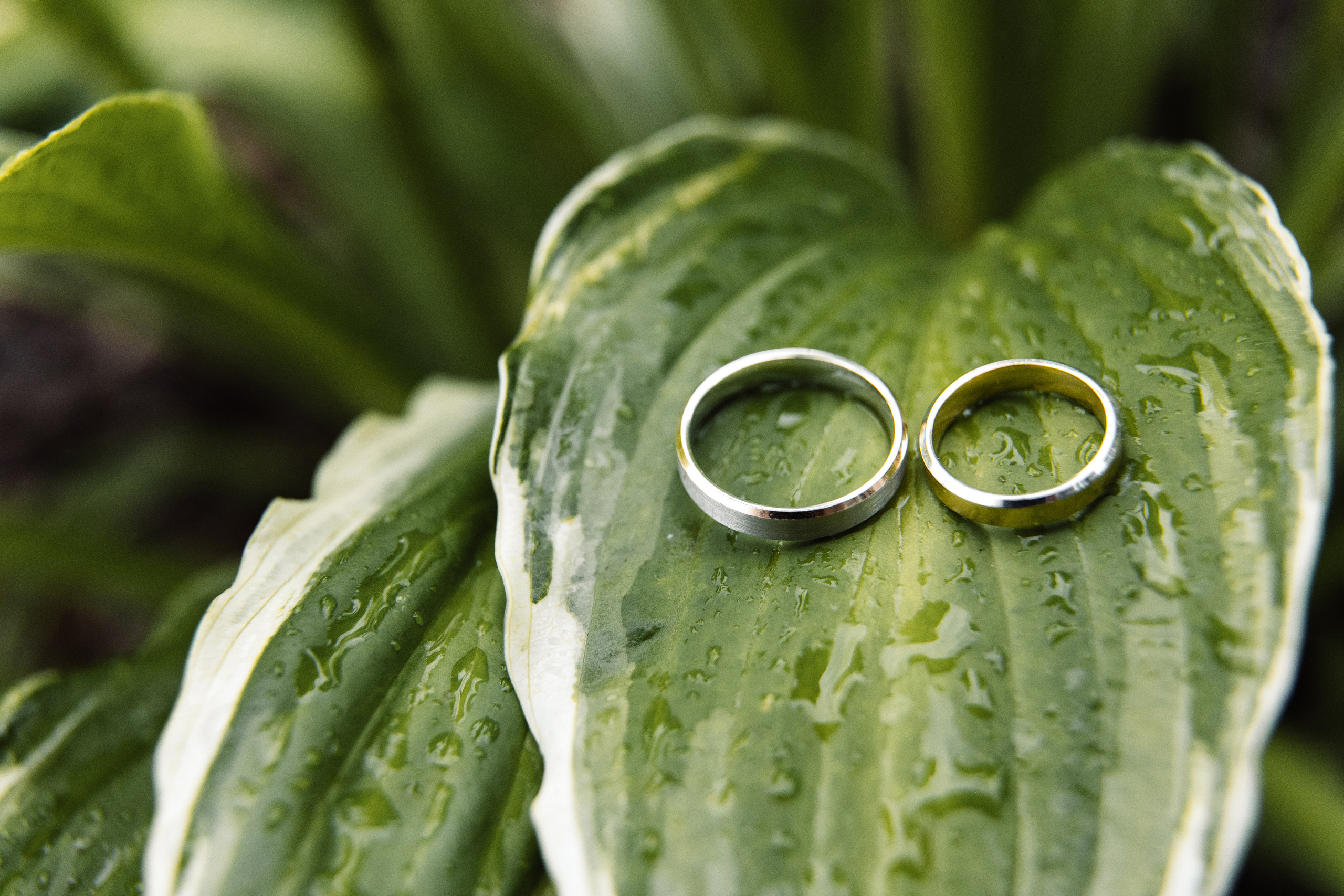 Сергей и Александра