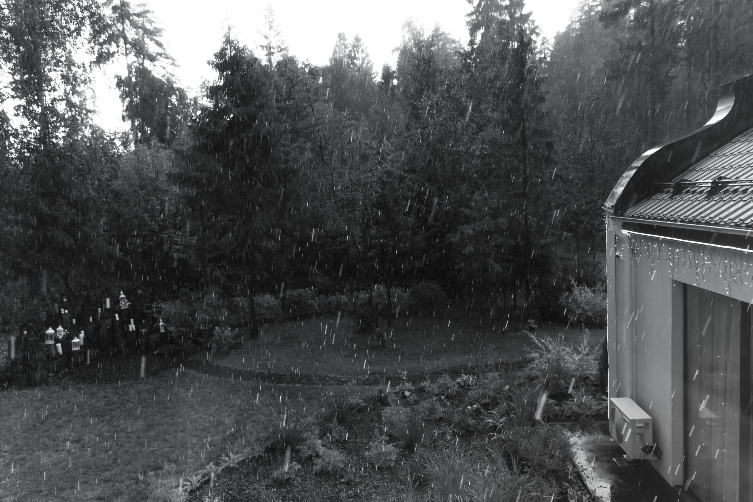 Сергей и Александра