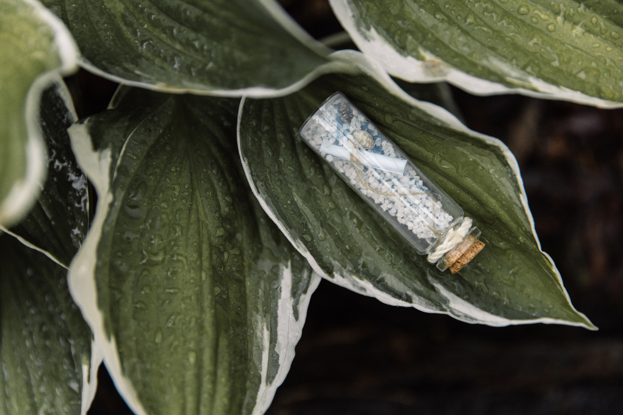 Сергей и Александра