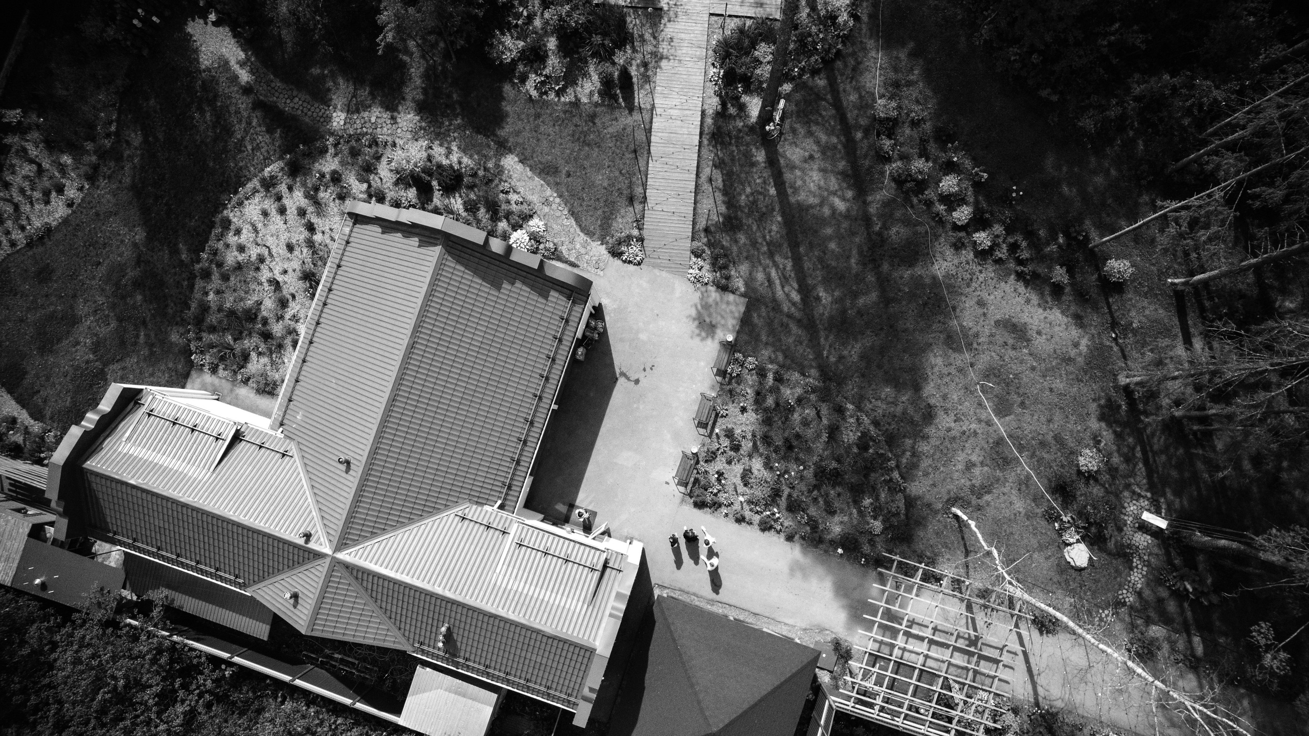 Сергей и Александра