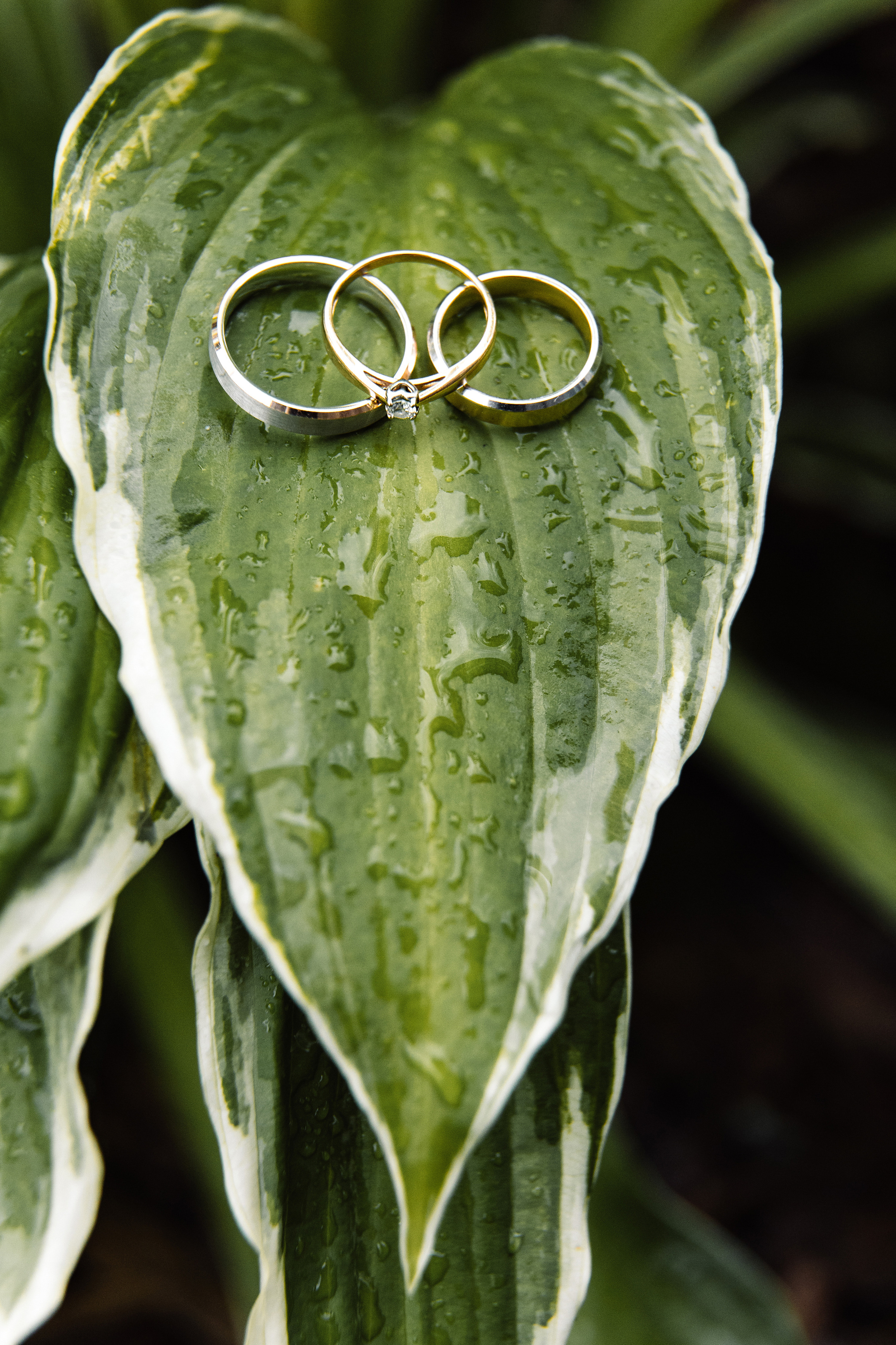 Сергей и Александра