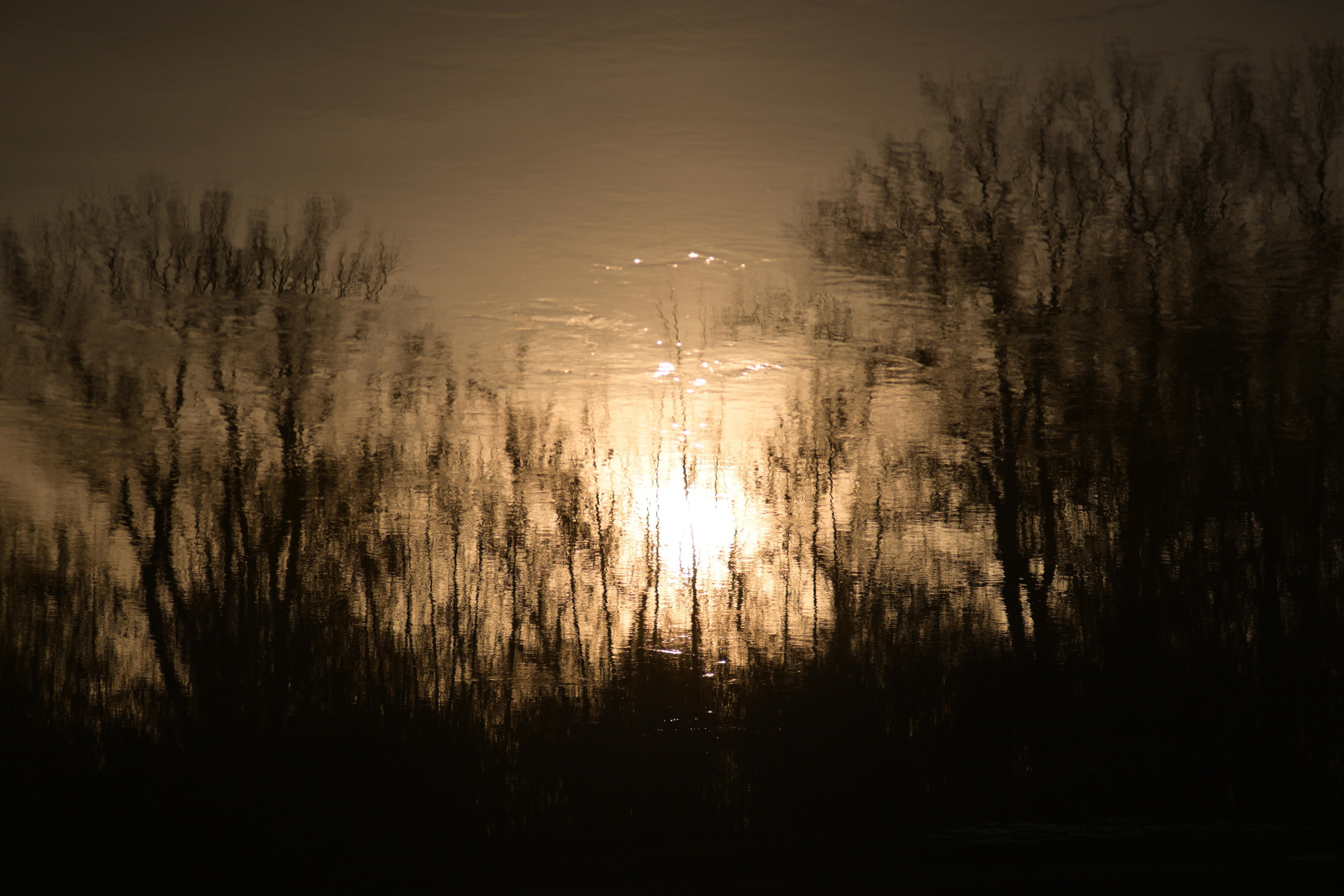 Курганская область. Портретный фотограф в Челябинске Катерина Руди