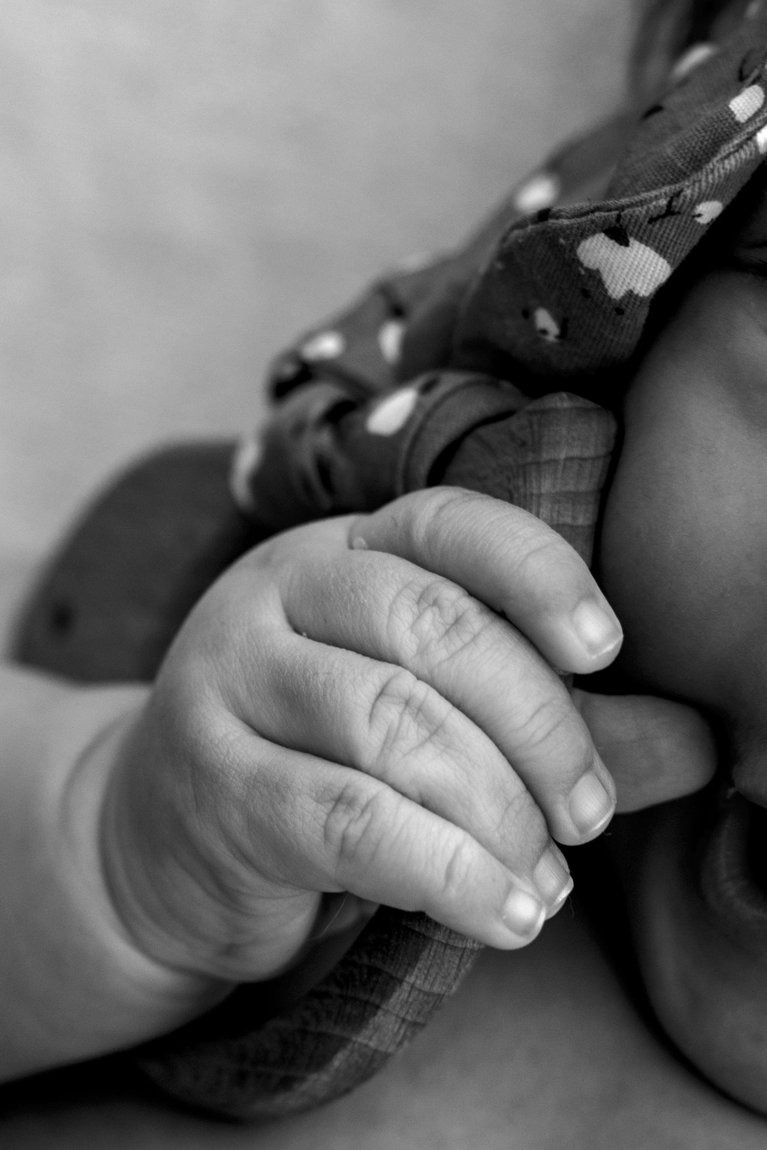 Алина 3 месяца. Ньюборн фотограф Владивосток