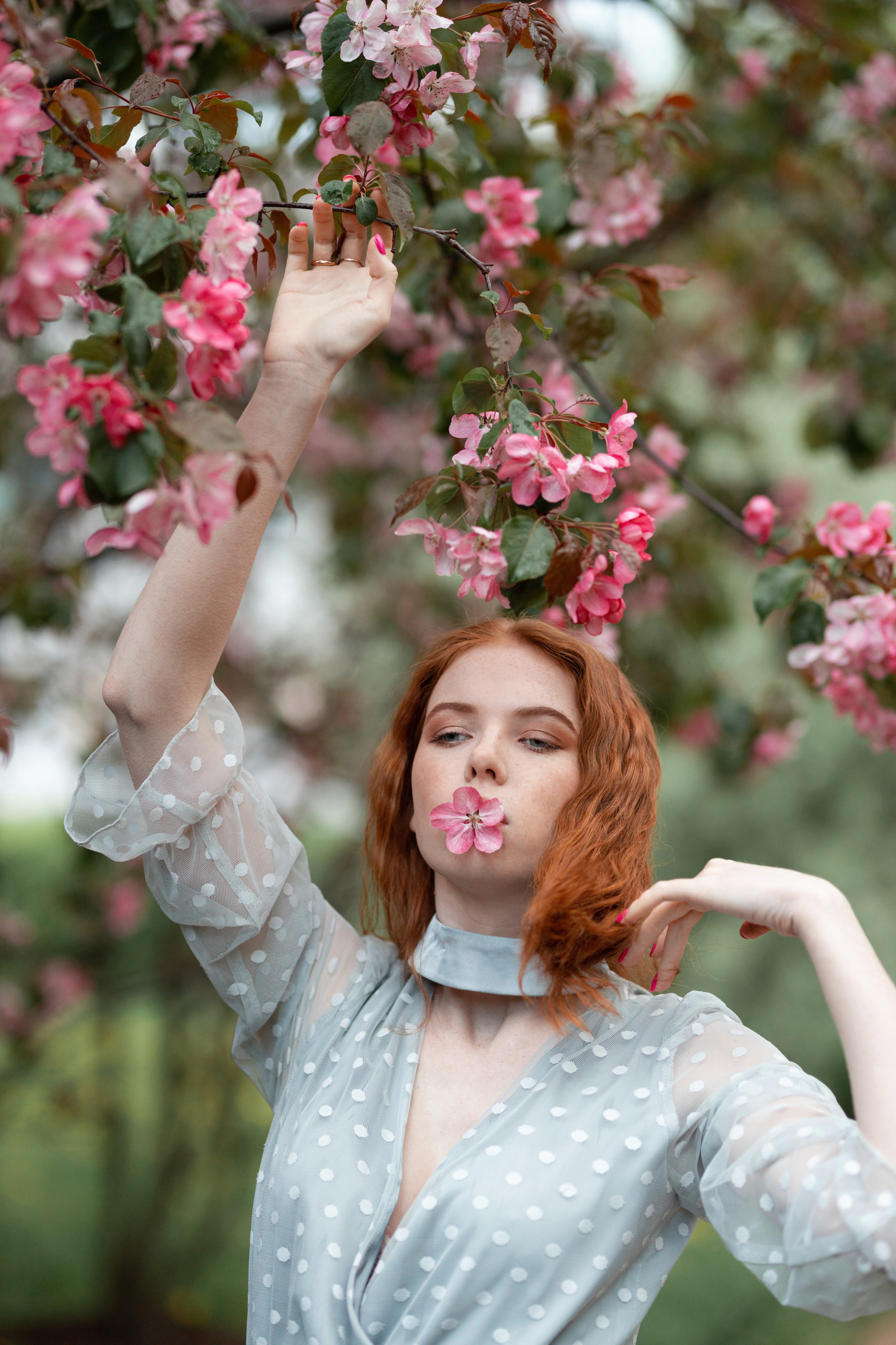 Аля в цветущем саду. Фотографии в Санкт-Петербурге и не только. Александр Колдин