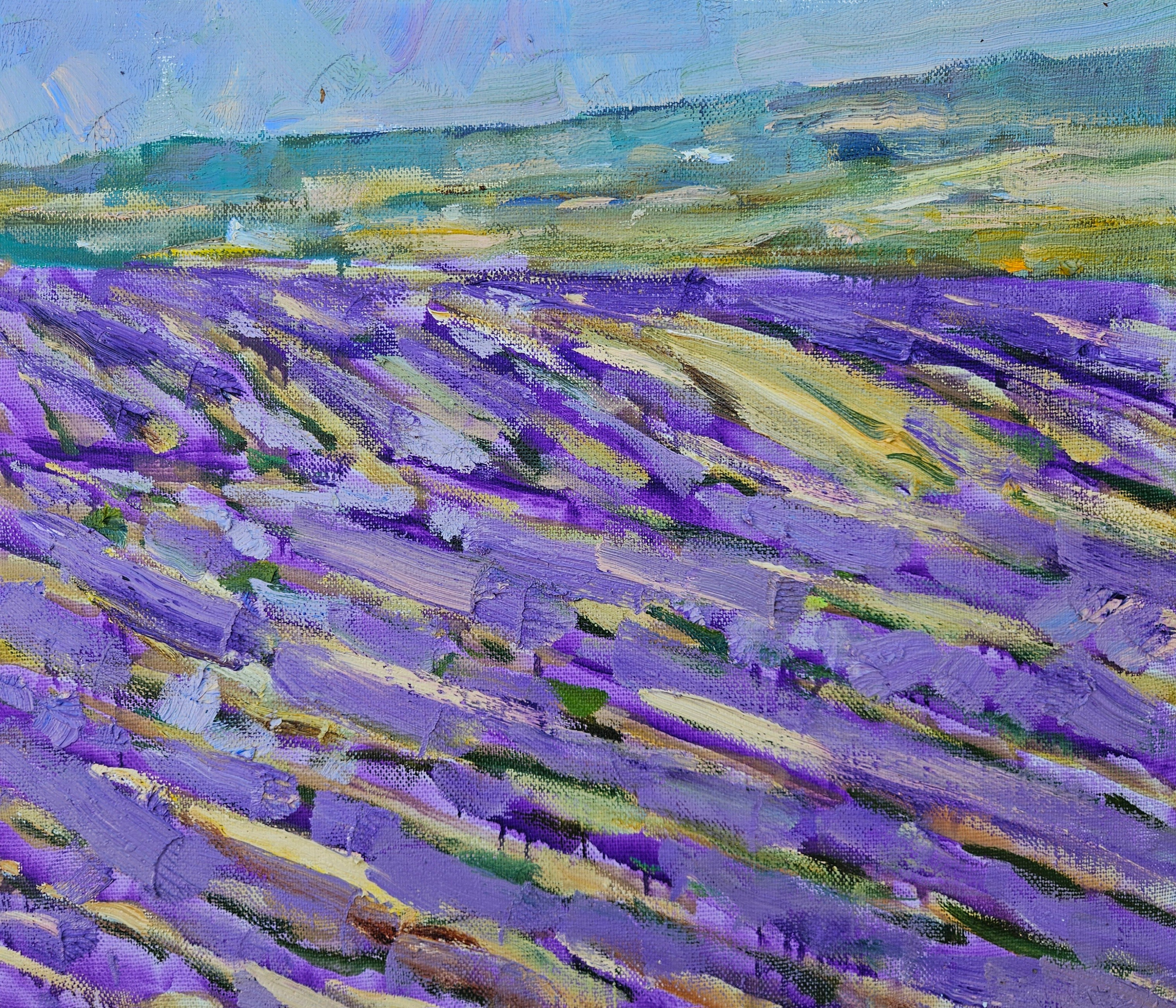 Лавандовое поле. 2025. Холст, масло. 55х65. Цена: 30000₽