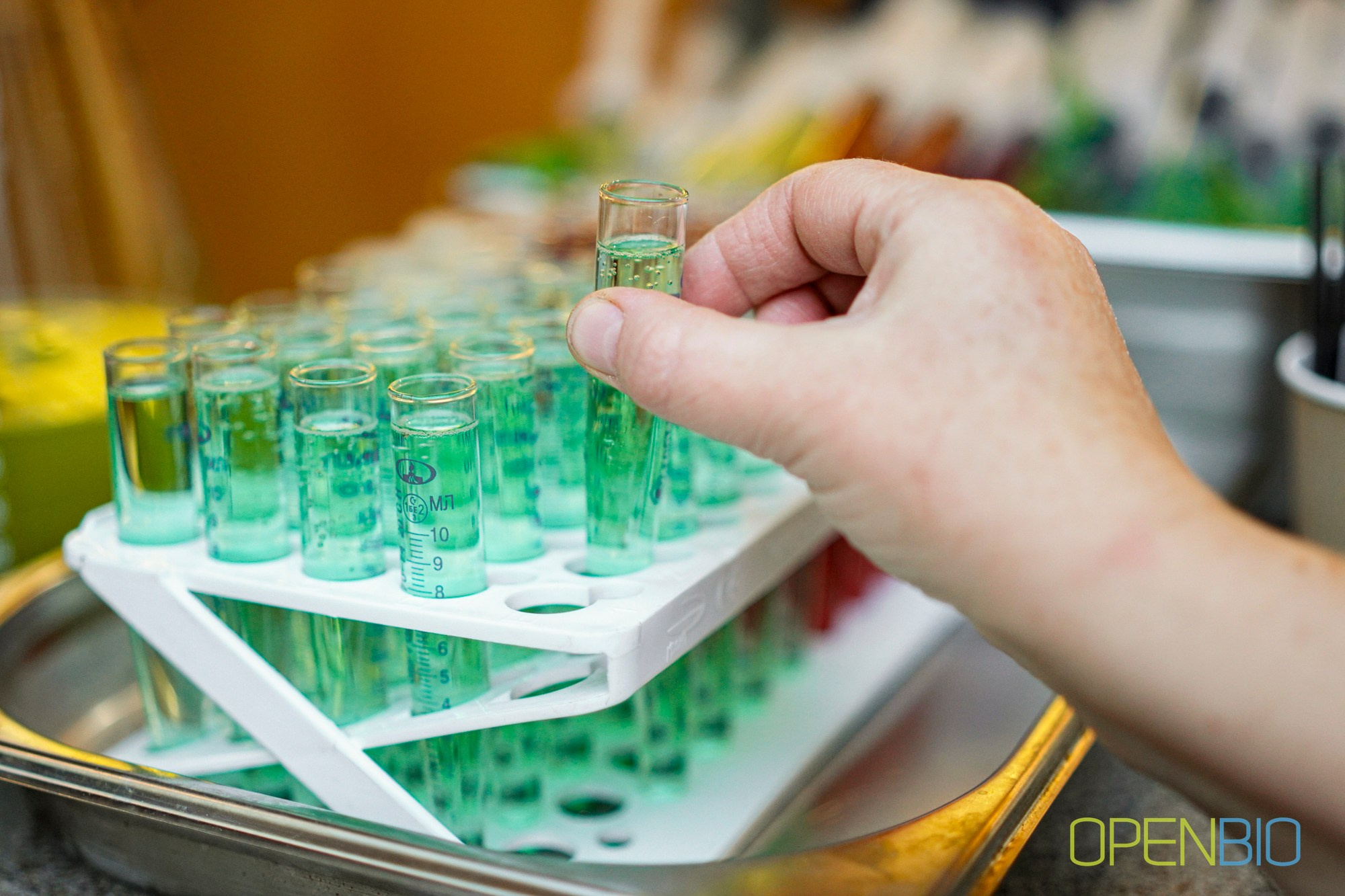 OpenBio | Форум 2024. #фотокаквкино | Фотографирую людей