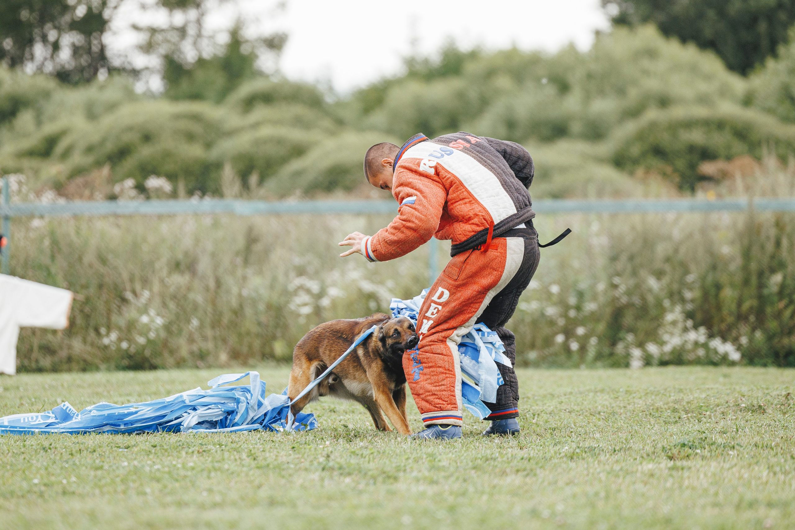 08.08.25-10.08.25 ЧР по мондьорингу г. Вологда. Фотограф-анималист Анна Маринич