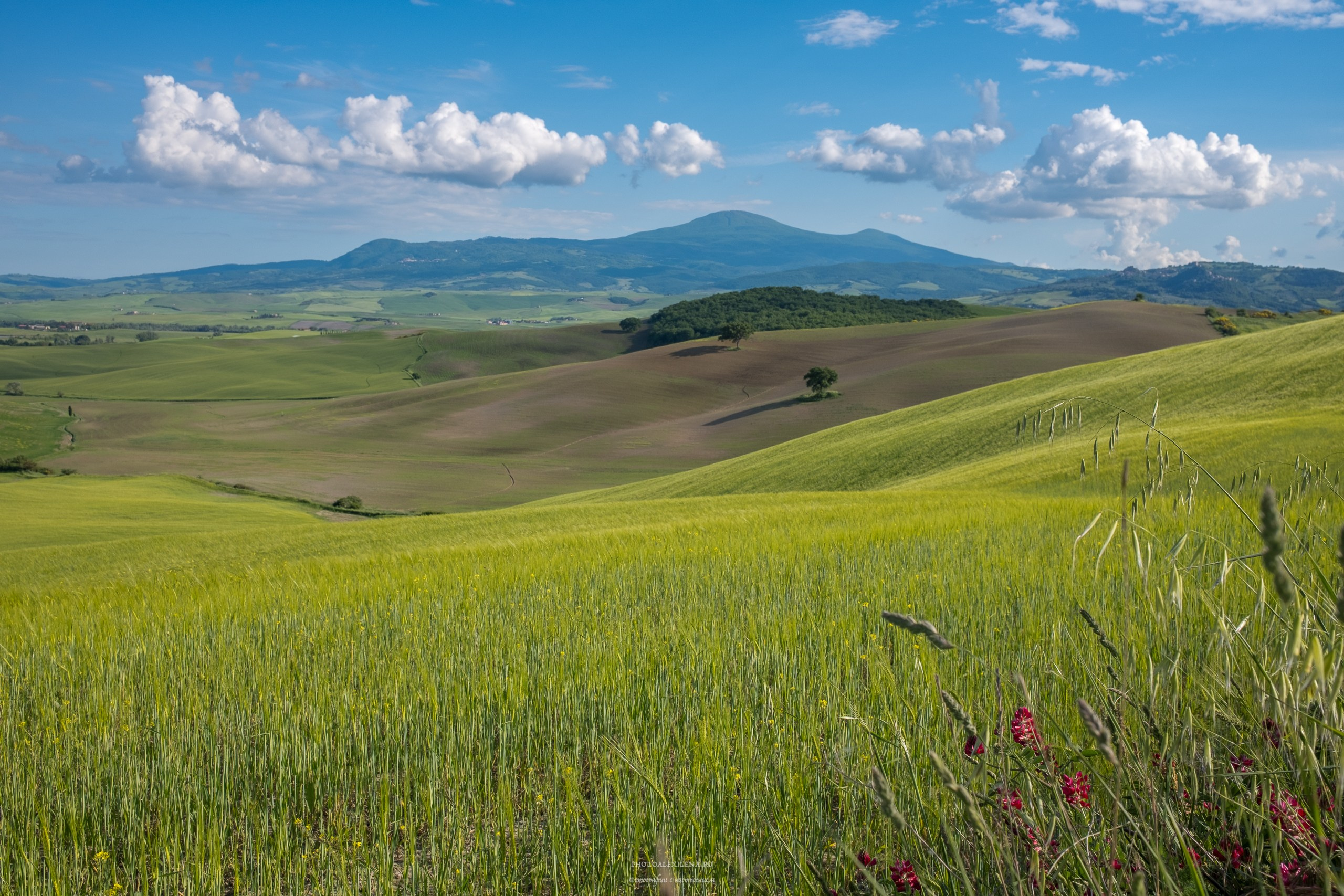 Долина Валь д’Орча-сердце Тосканы. Авторские стильные фотокартины