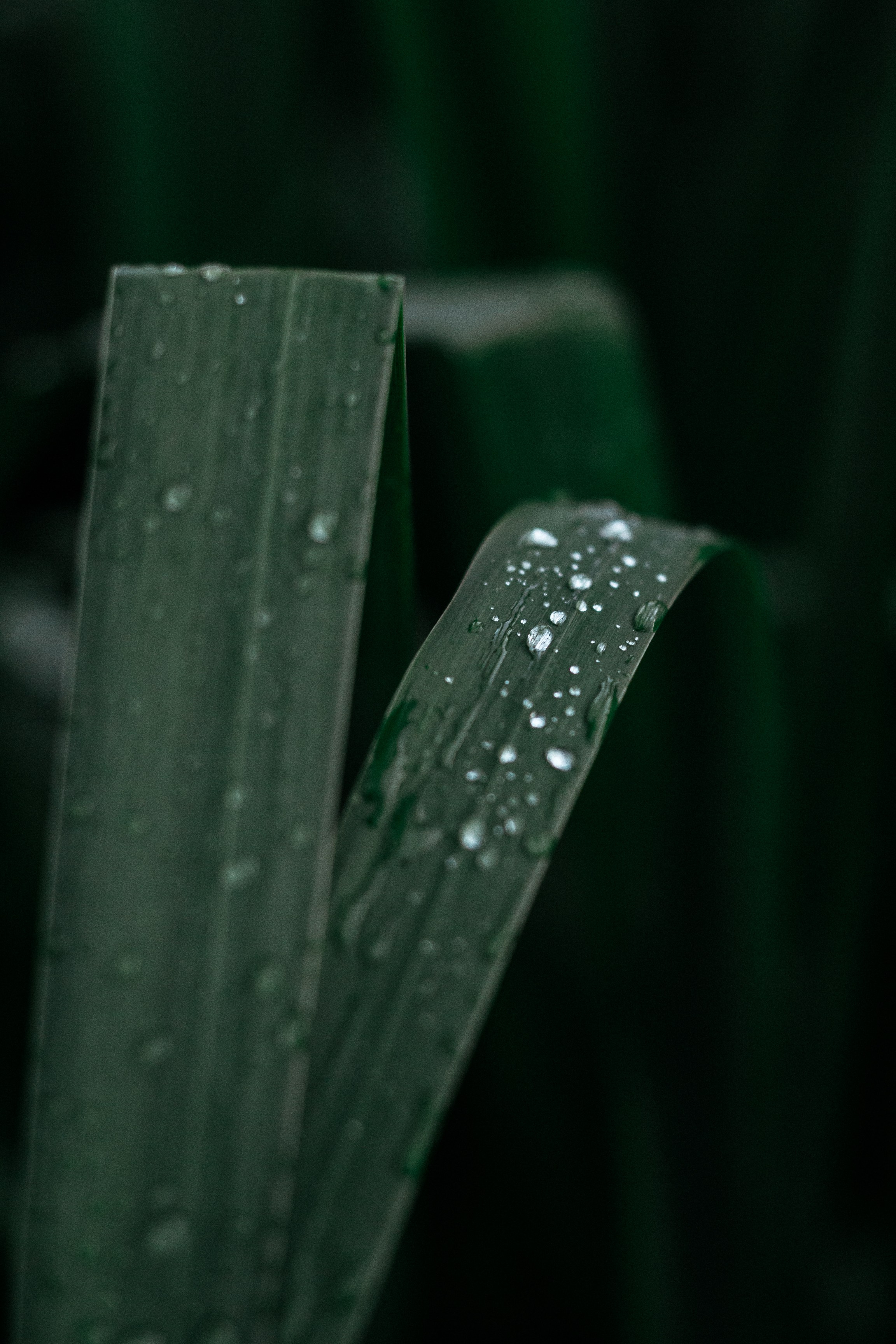 Фотограф в туре Света Сергеева