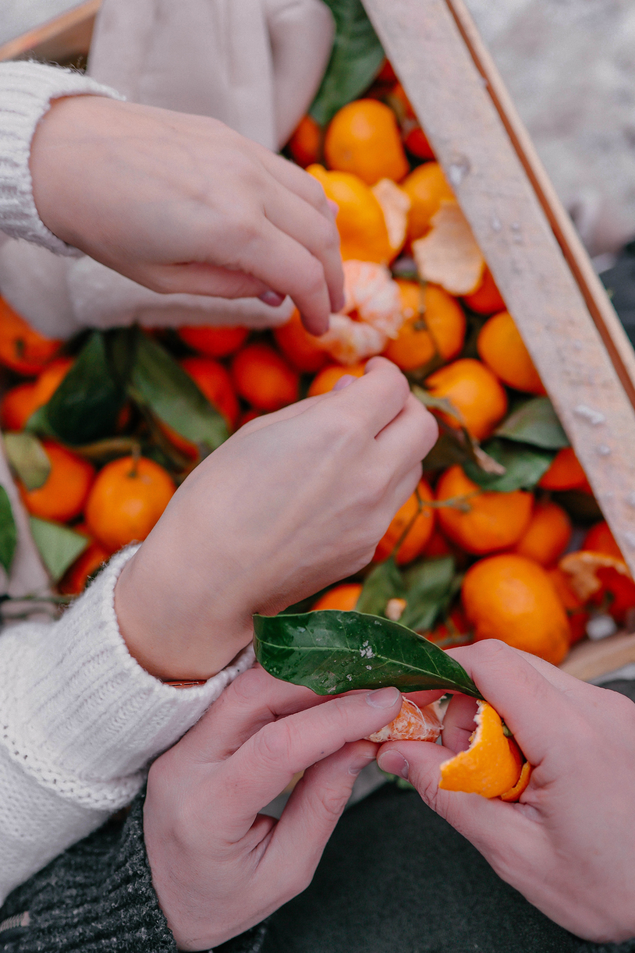 Съемка с тройняшками. Фотограф в Москве Света Клевакина