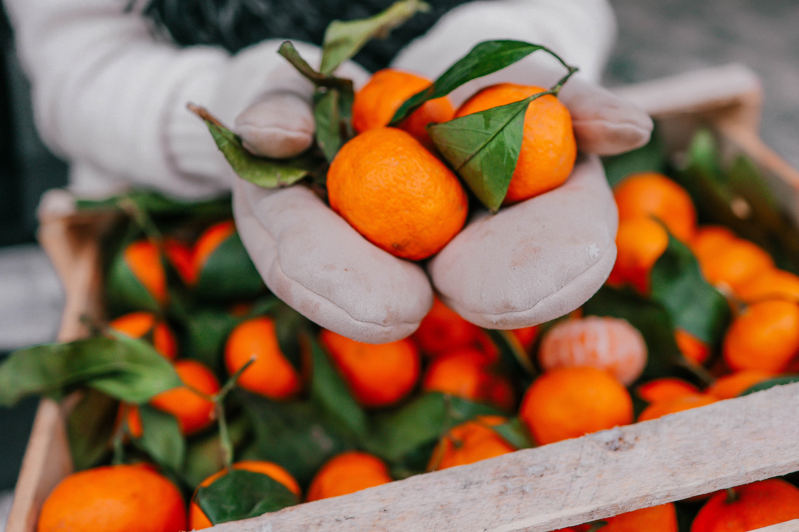 Съемка с тройняшками. Фотограф в Москве Света Клевакина