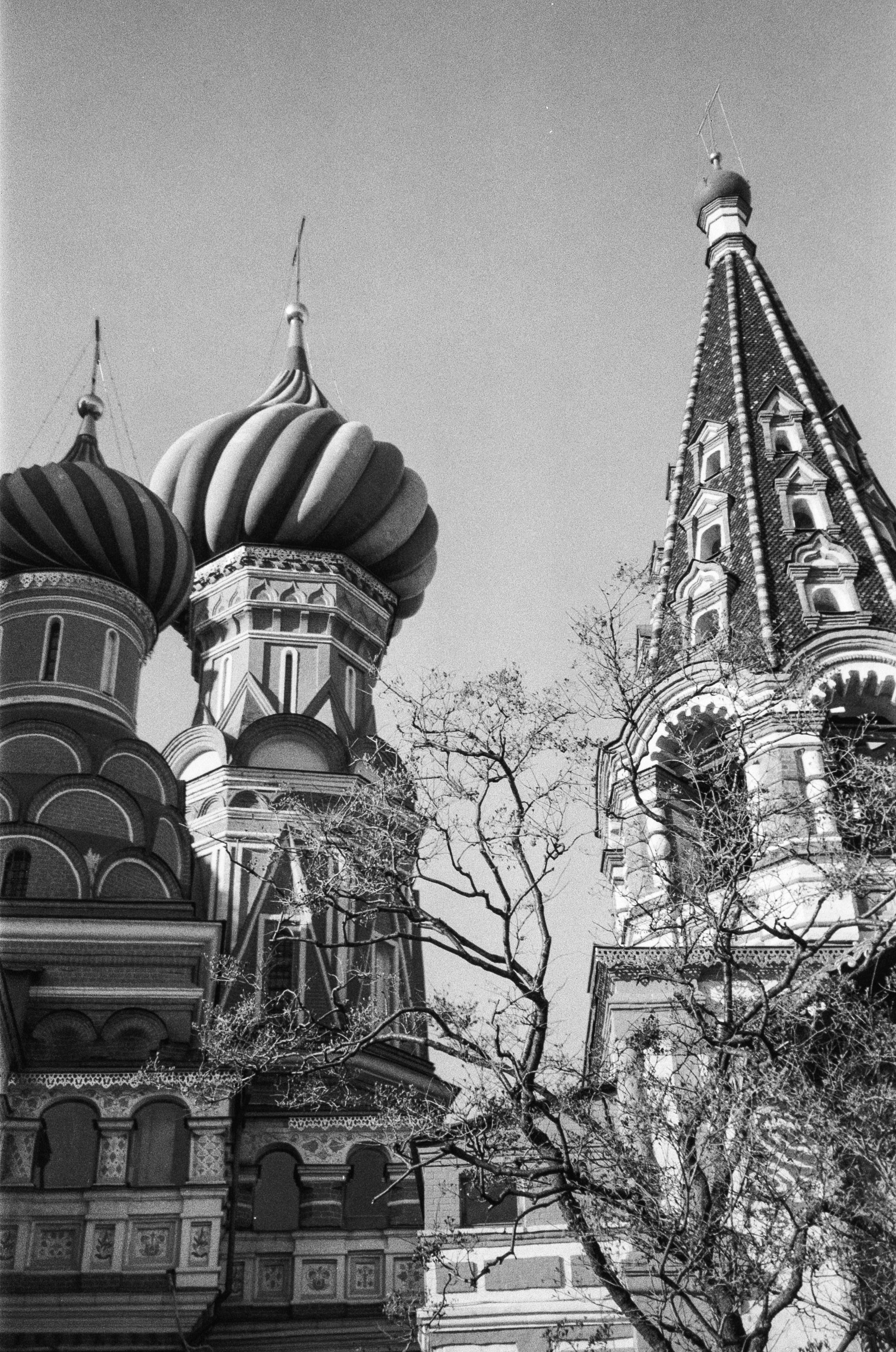 Пленка чб. Фотограф в Москве Света Клевакина