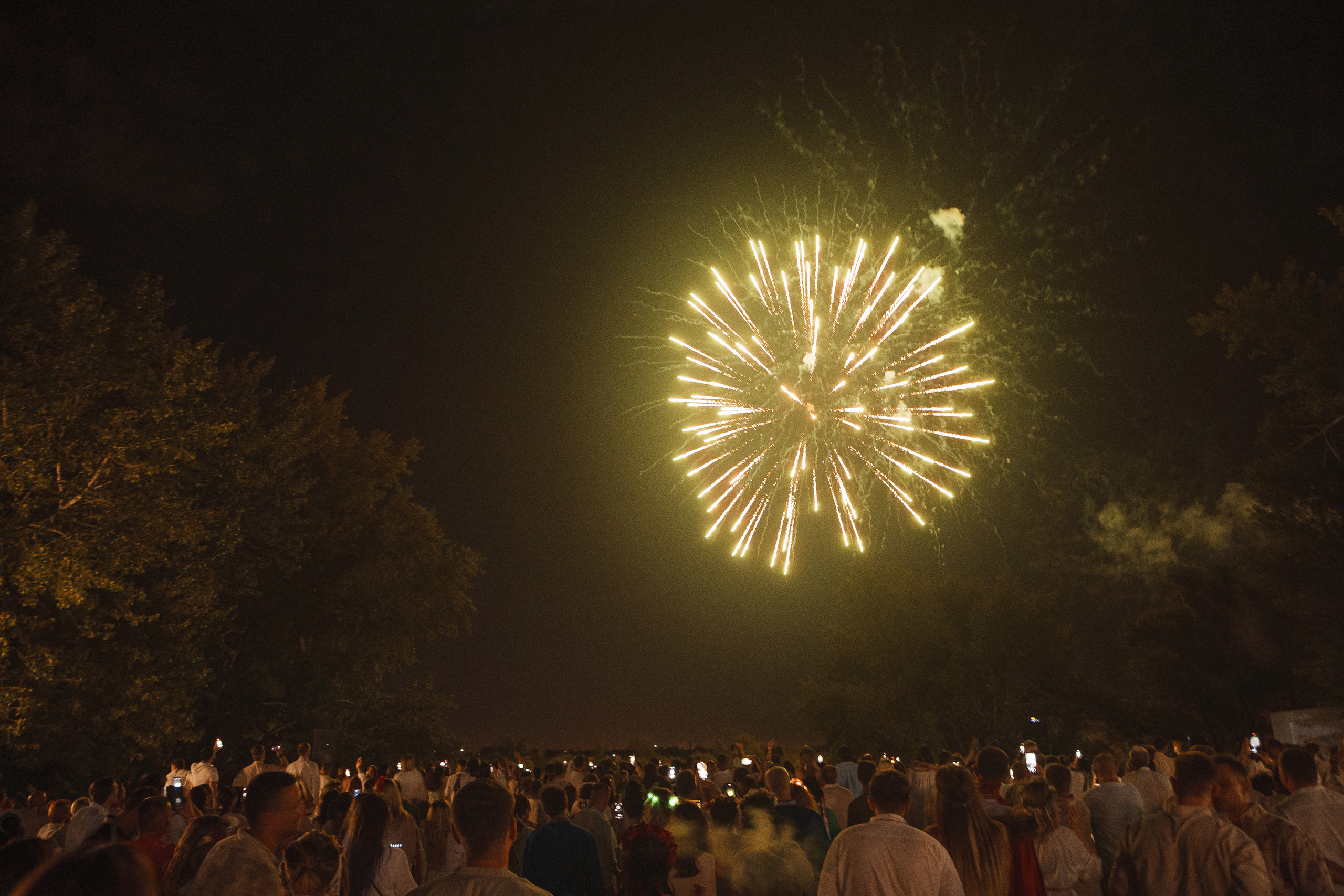 Grass 20 лет. Свадебный и репортажный фотограф в Волгограде Антон Сидоренко