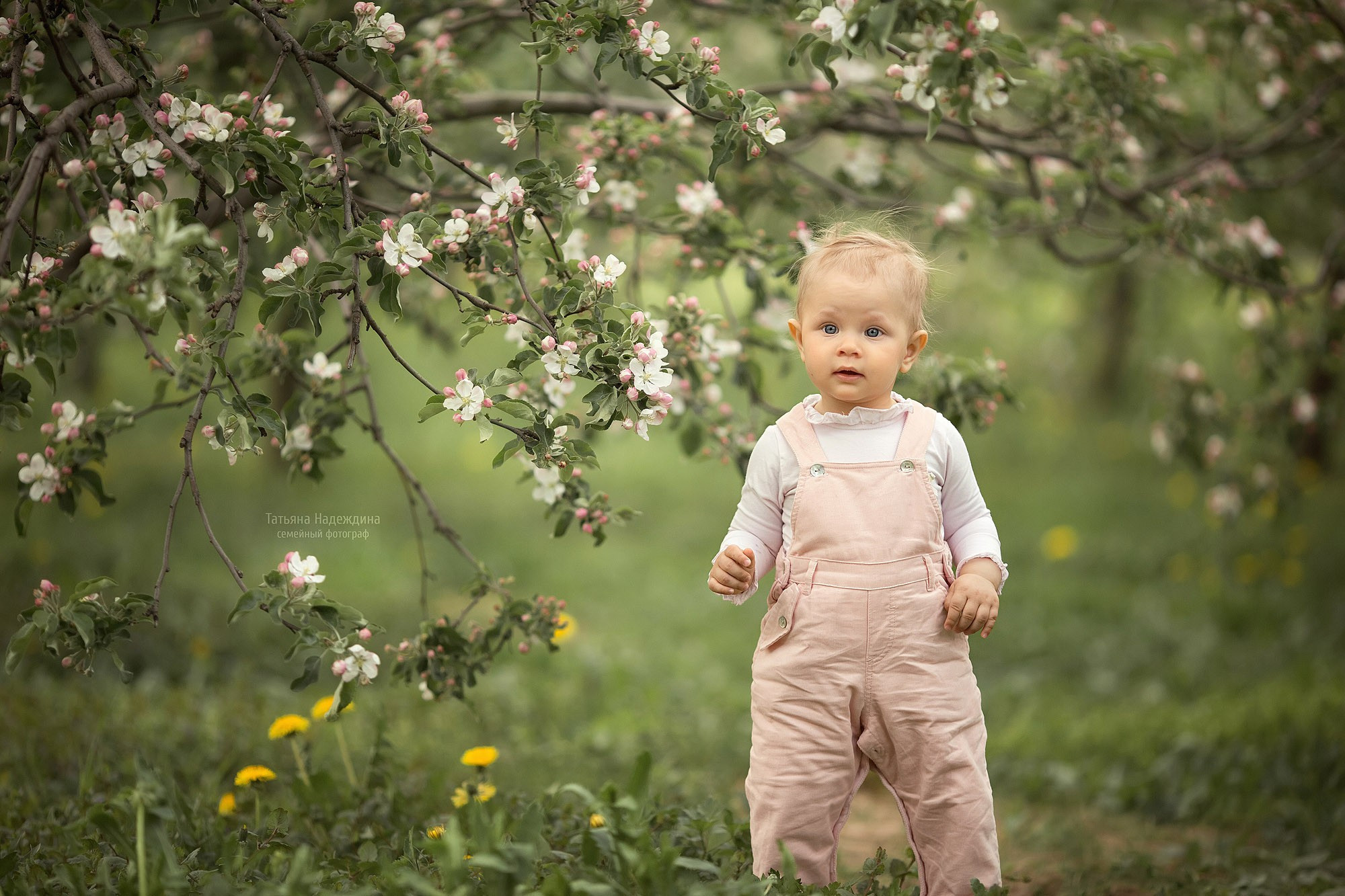 Счастье в цветущих садах. Tatyana Nadezhdina Family photographer