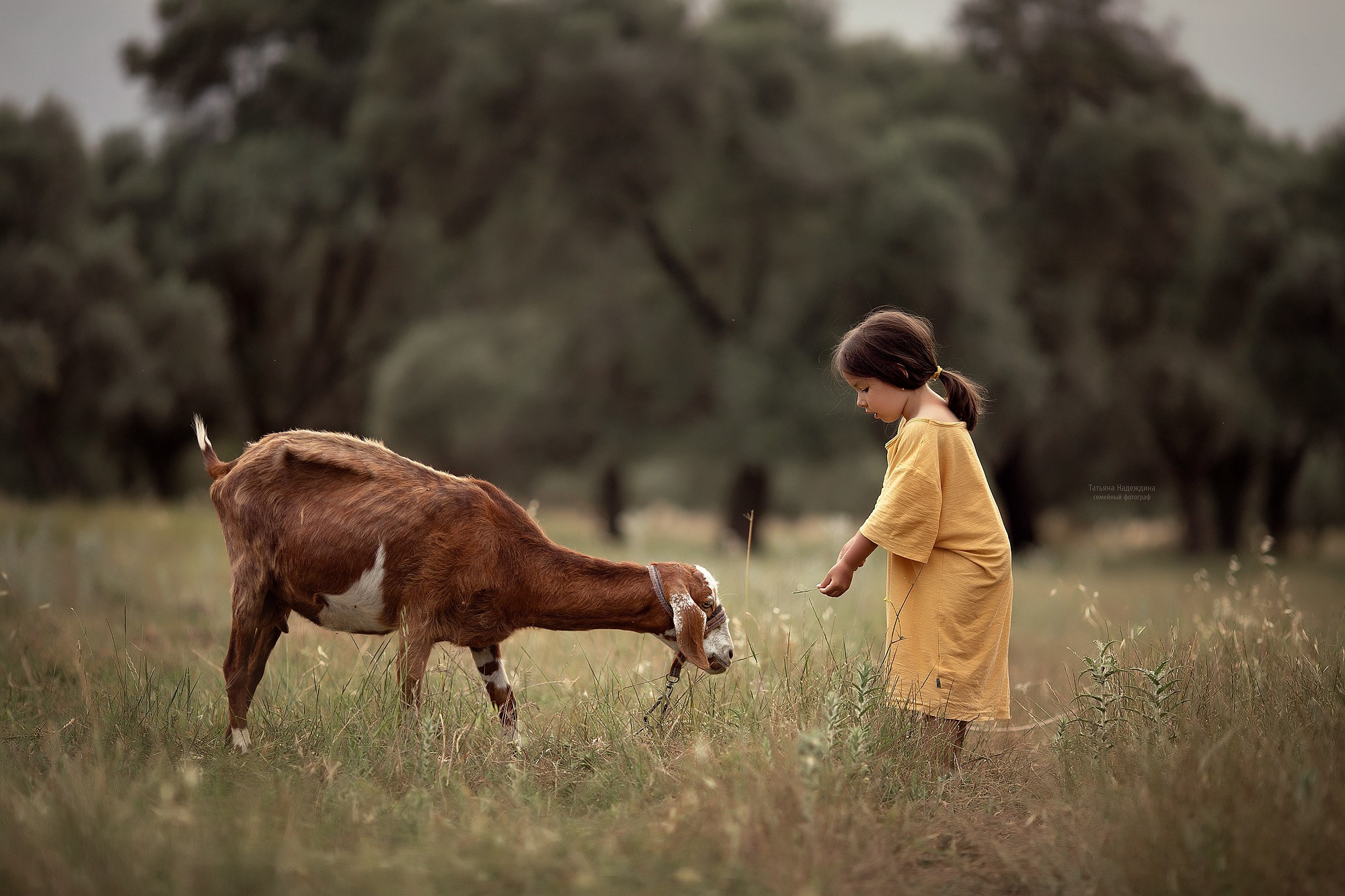 Photo shoots in Europe. Tatyana Nadezhdina Family photographer