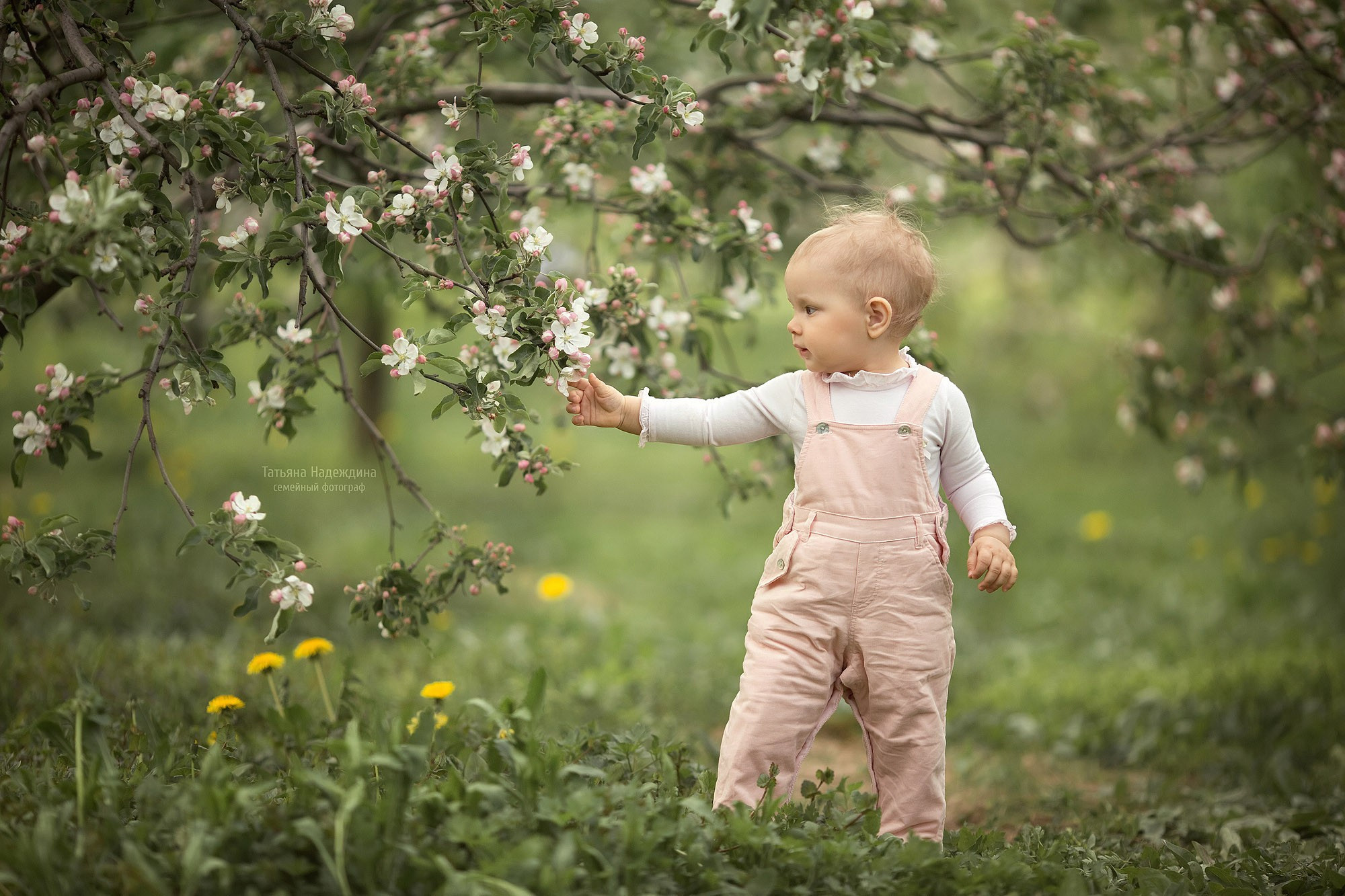 Счастье в цветущих садах. Tatyana Nadezhdina Family photographer