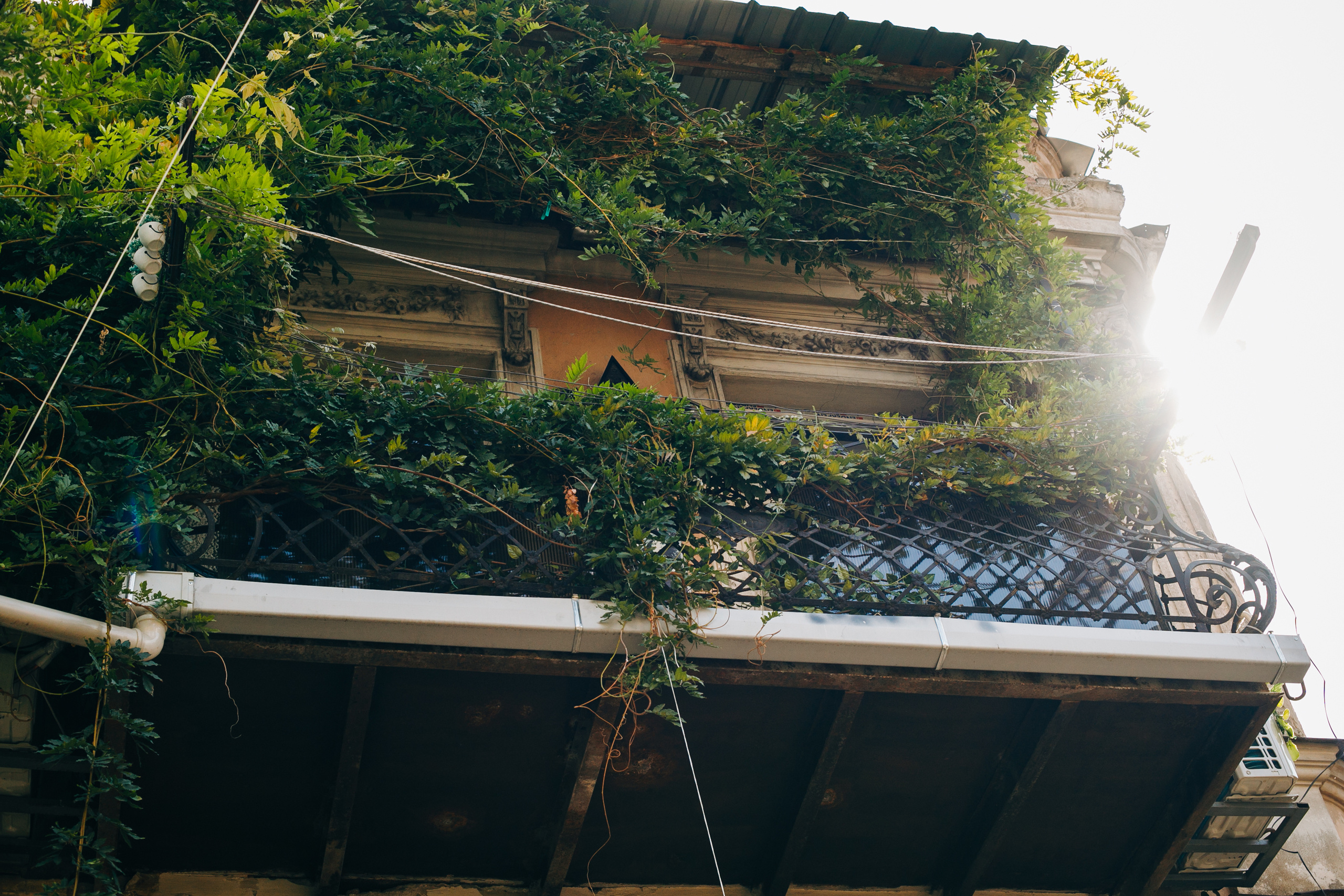 Georgia. Фотограф Максим Маркелов