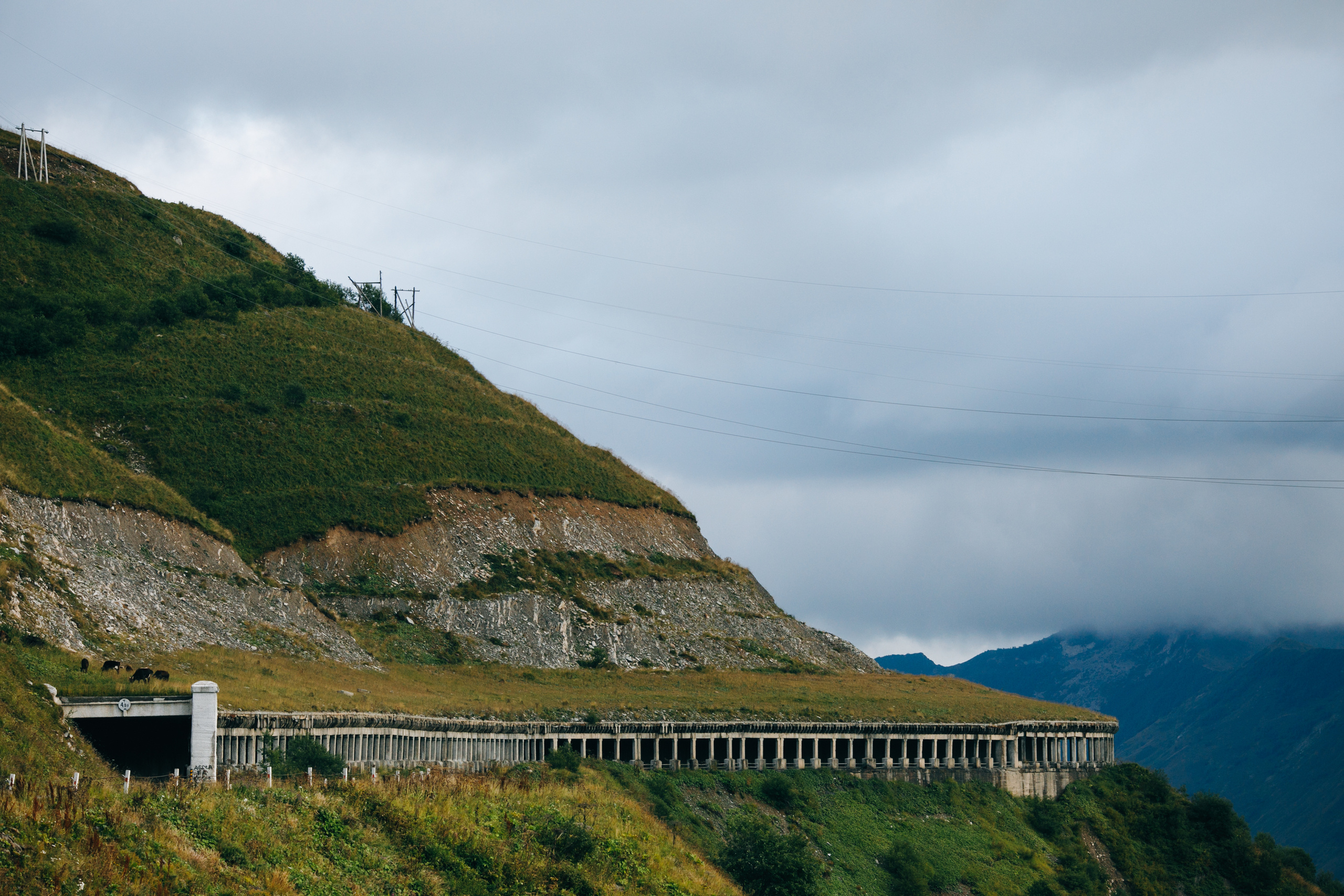 Georgia. Фотограф Максим Маркелов