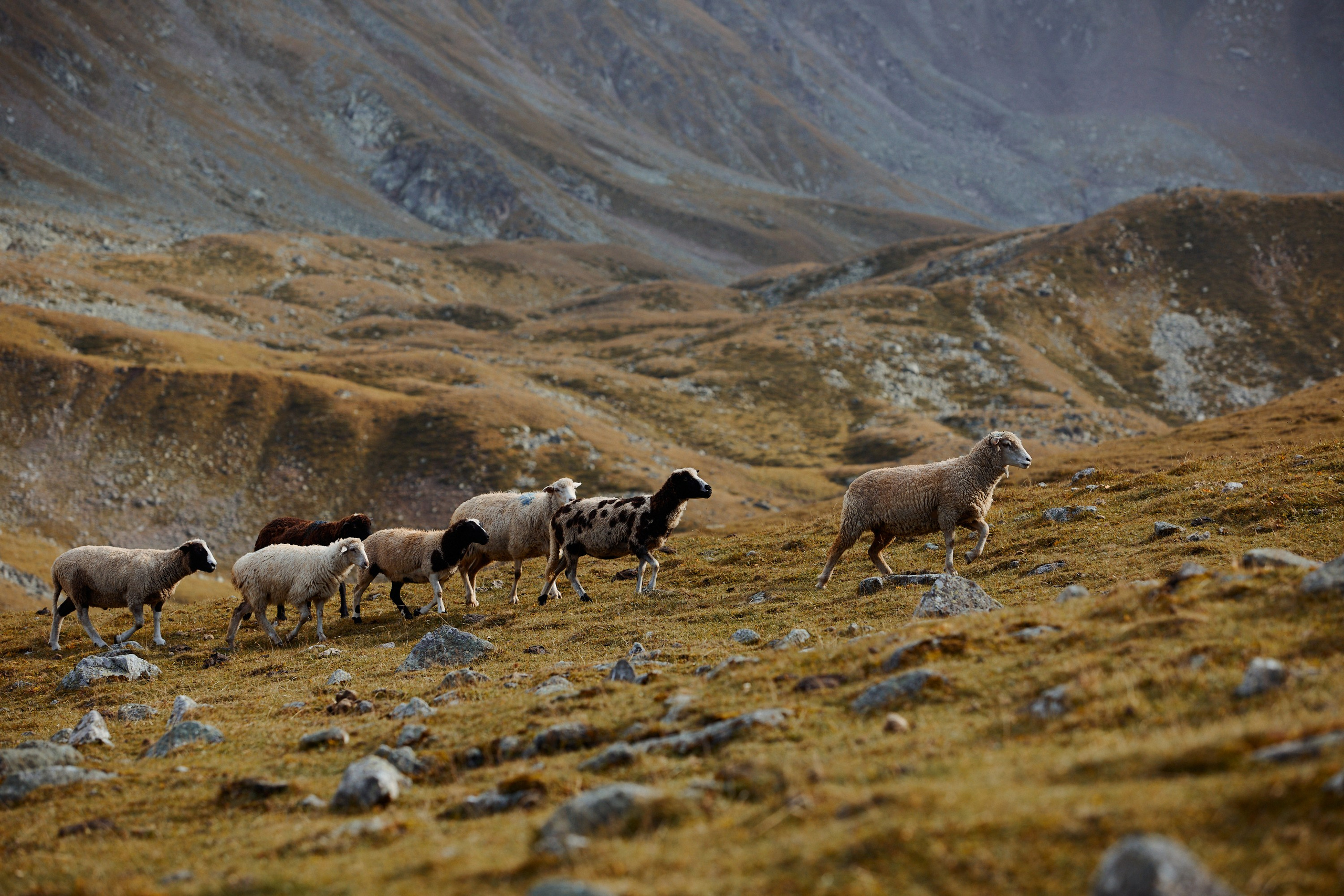 Озеро Гийбашкель. Фотограф Продюсер в горах КБР / Москва  Нальчик Горы