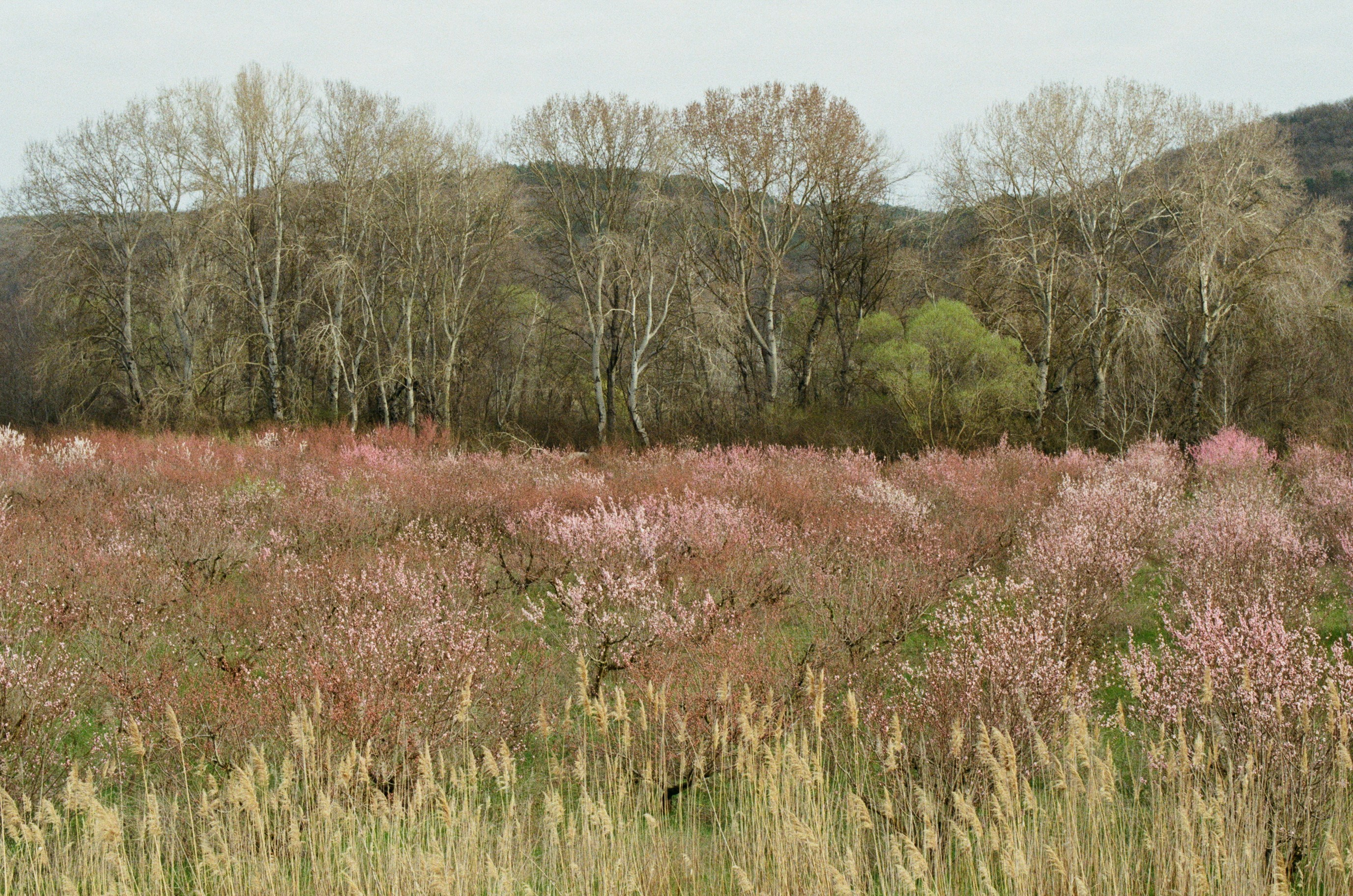 Some kind of madness // ukraine, crimea IV. EVER EXPOSED