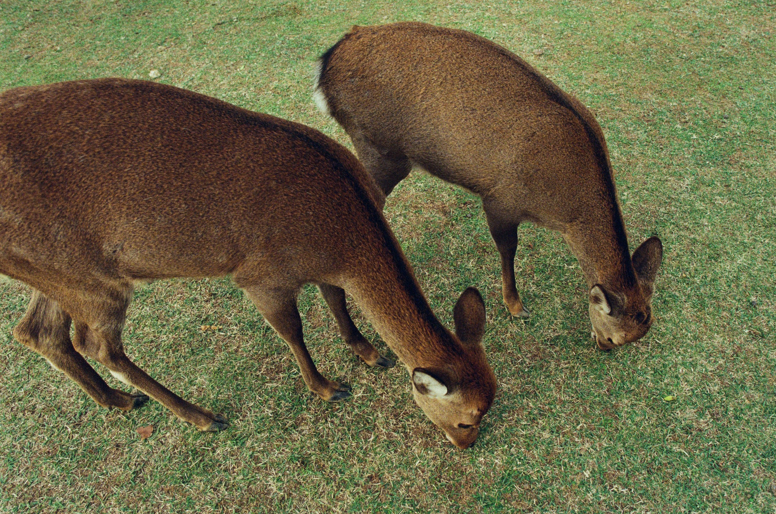 Out of noise // japan, kyoto IV. EVER EXPOSED