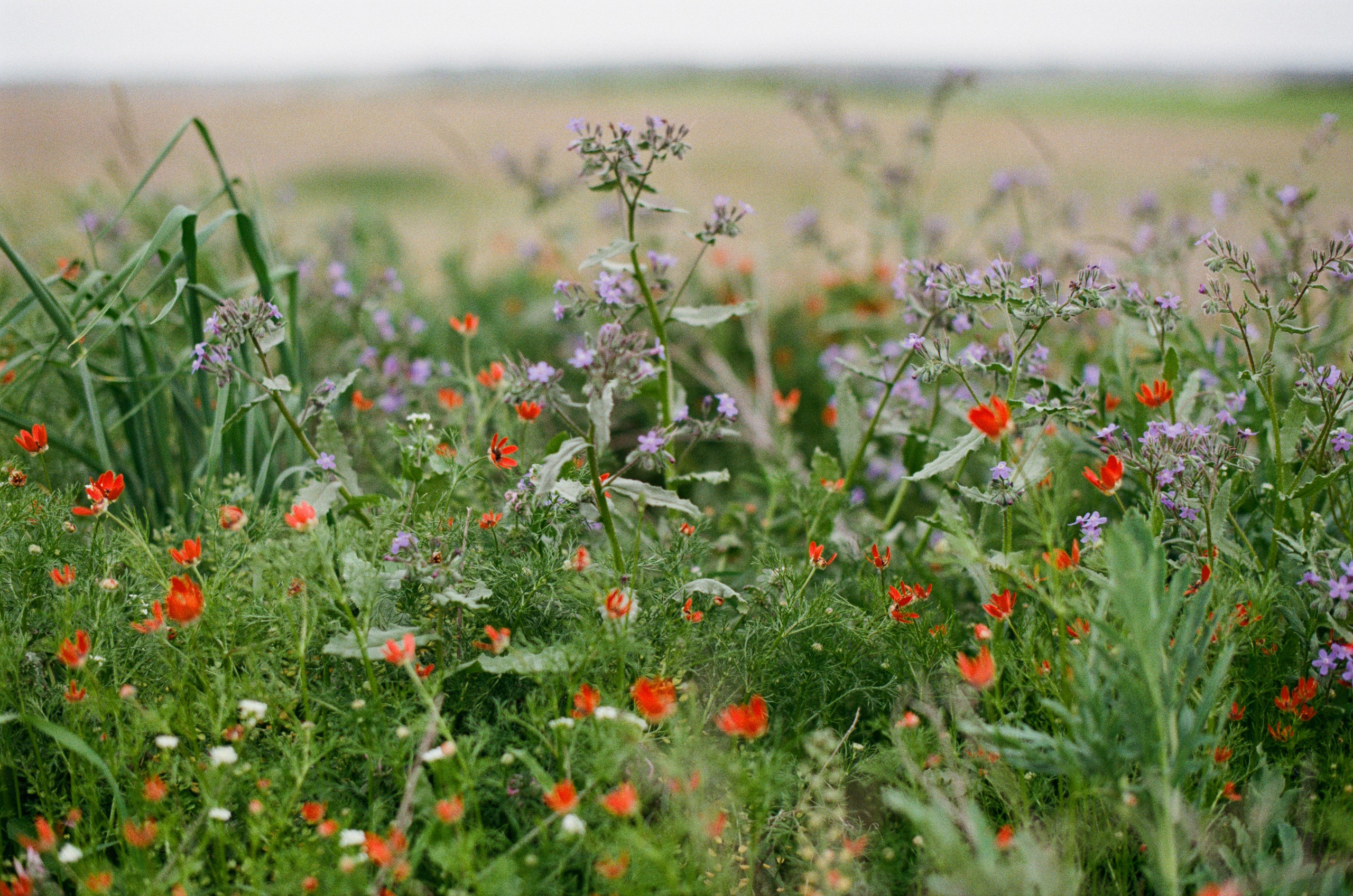 Some kind of madness // ukraine, crimea IV. EVER EXPOSED
