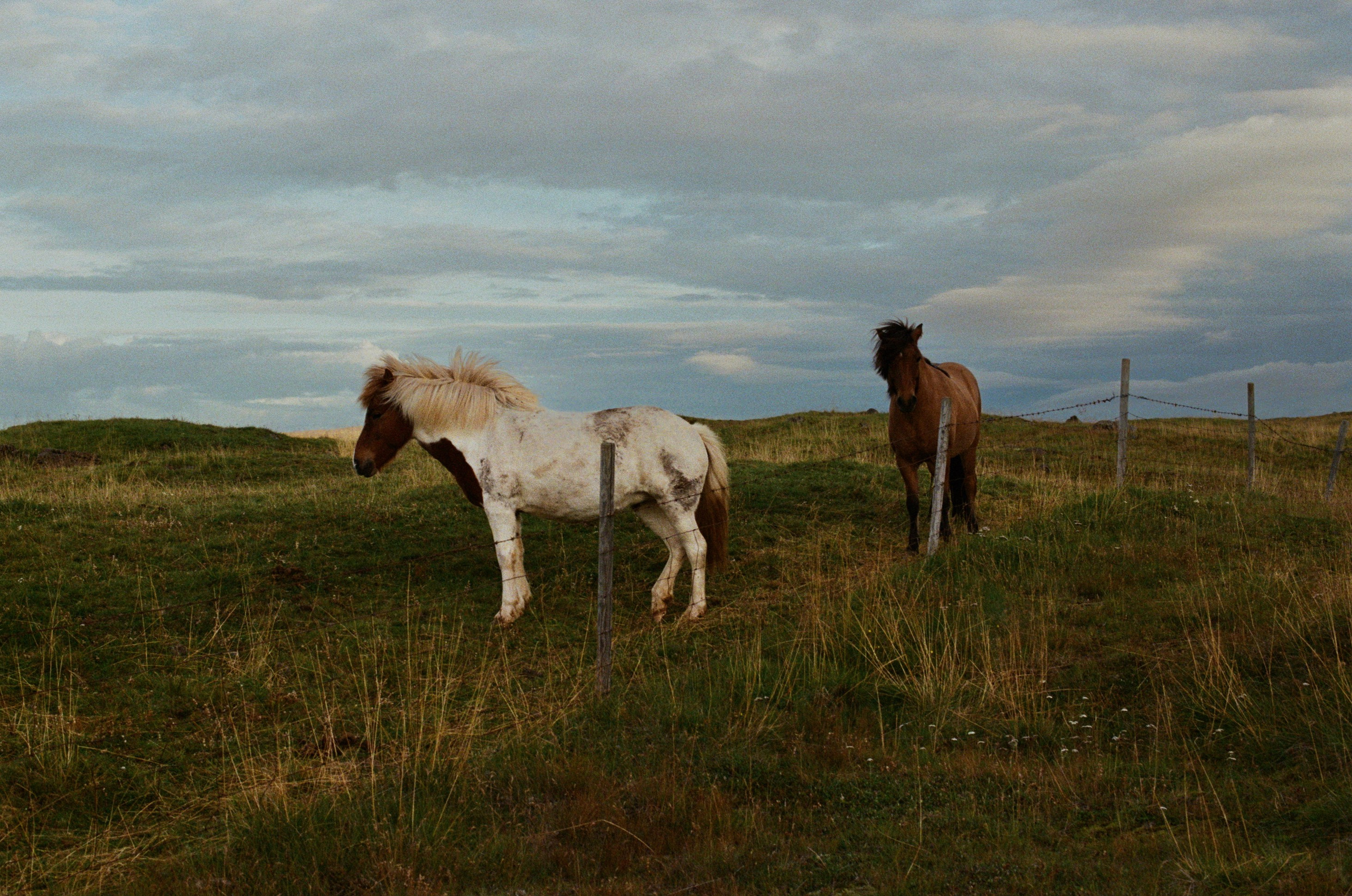 Unravelling // iceland, 724. EVER EXPOSED