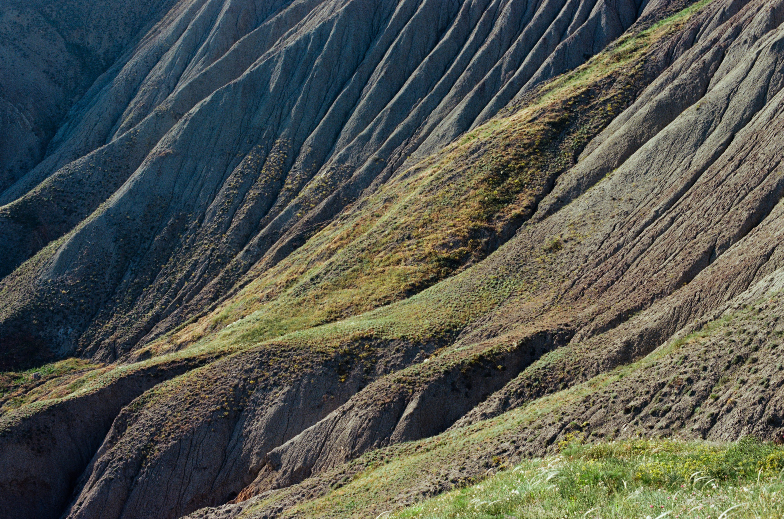 Kool-aid // ukraine, crimea III. EVER EXPOSED