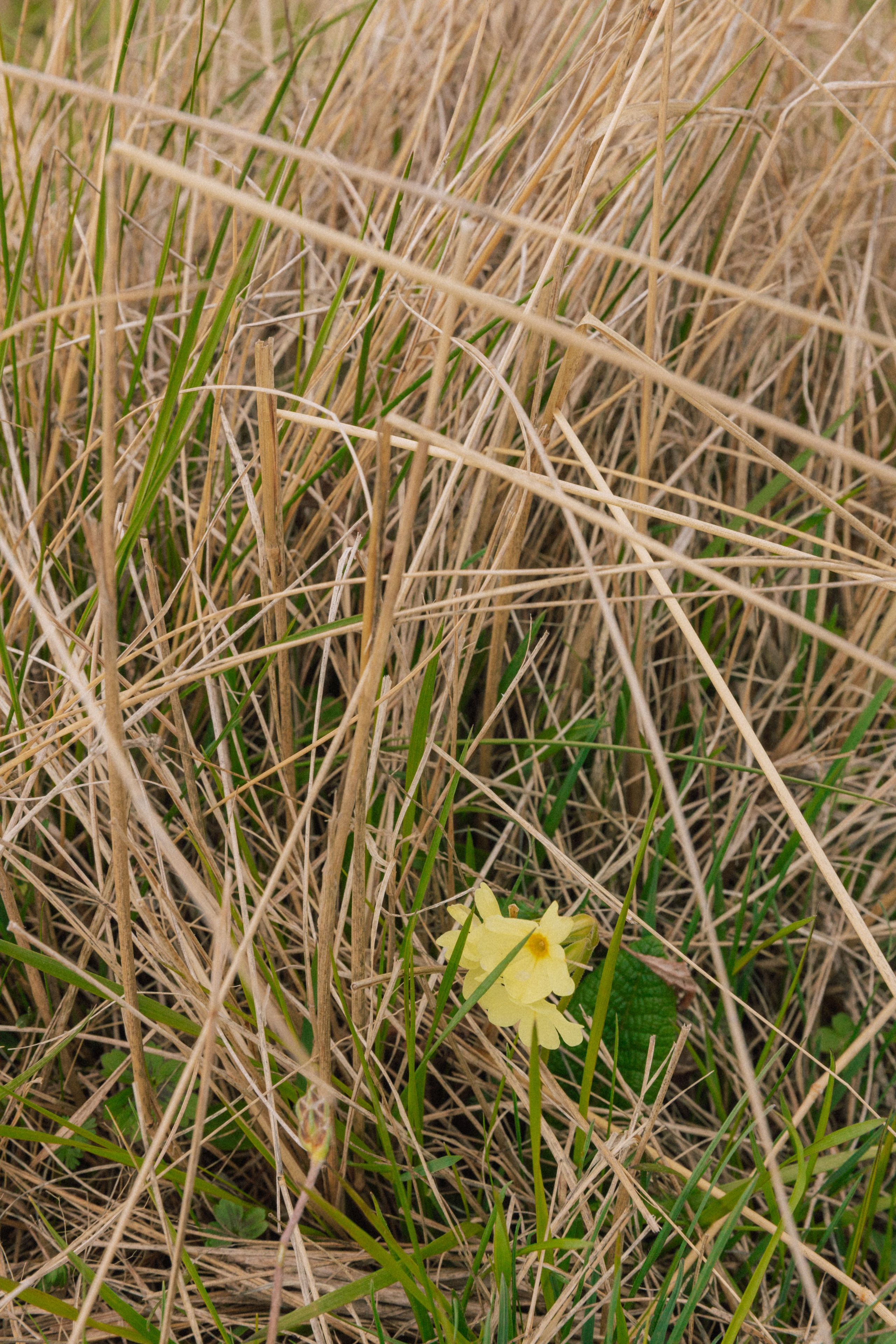 Ксюша и Никита. Фотограф Краснодар Юлия Бураченко Свадьбы Репортаж Семейные Индивидуальные съемки