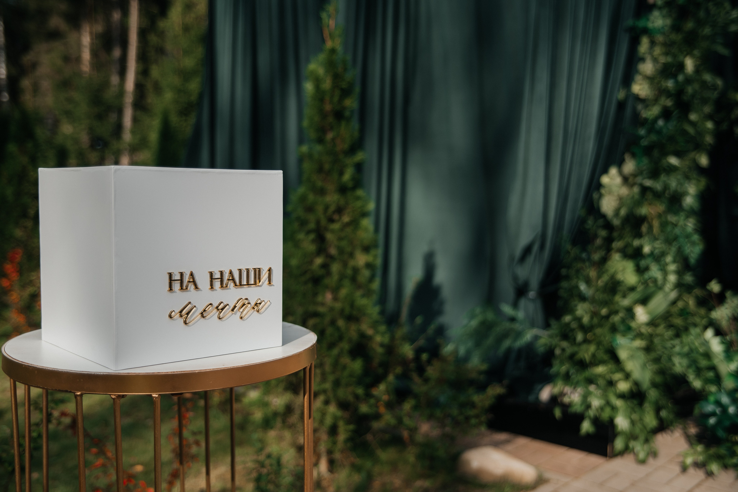 Парк Звезд. Свадебный и семейный фотограф в городе Смоленске