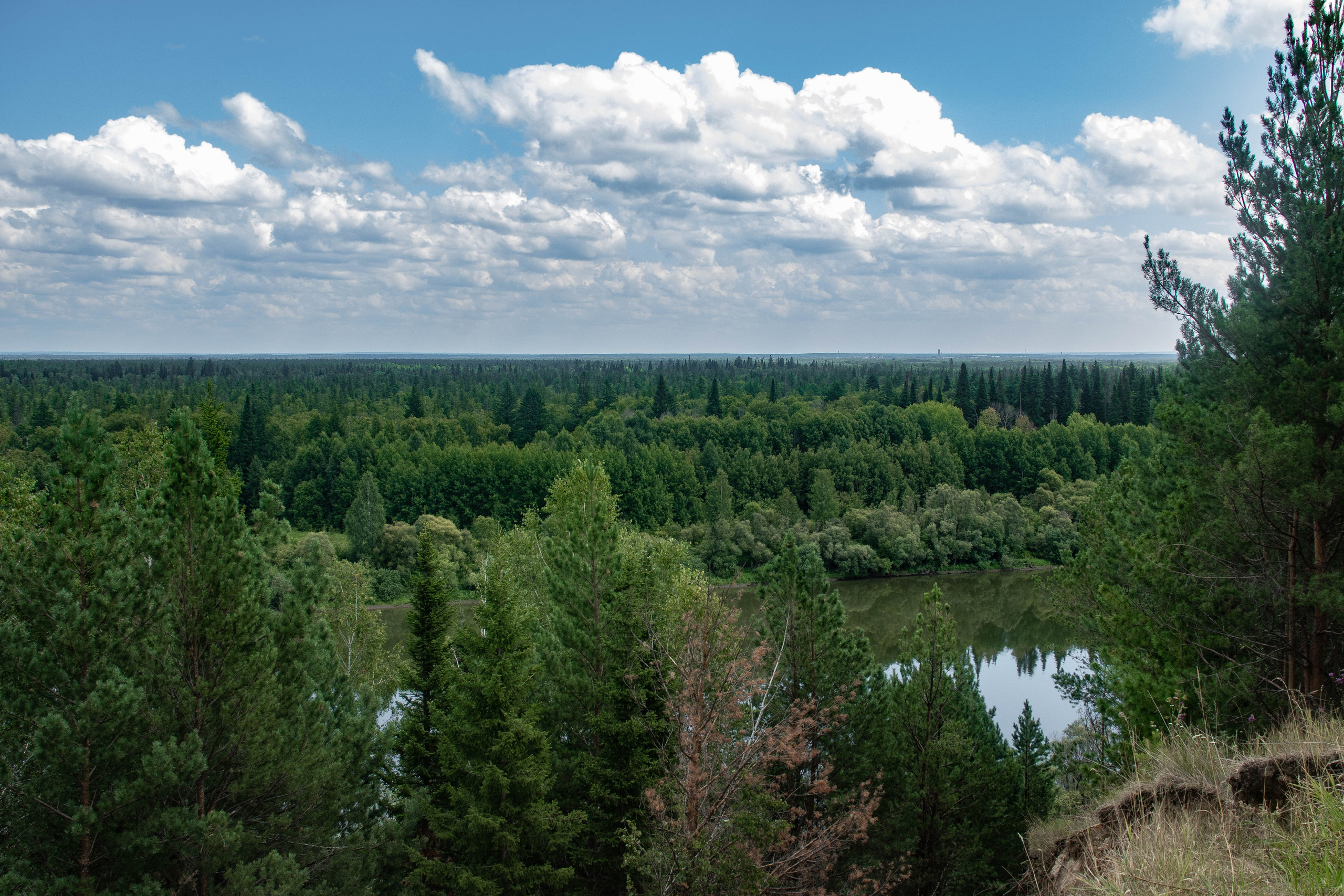 Фотограф Томск. Прогулочная фотосессия Томск. Фотосъёмка Томск. Фотограф в Томске Дарья Пучкина