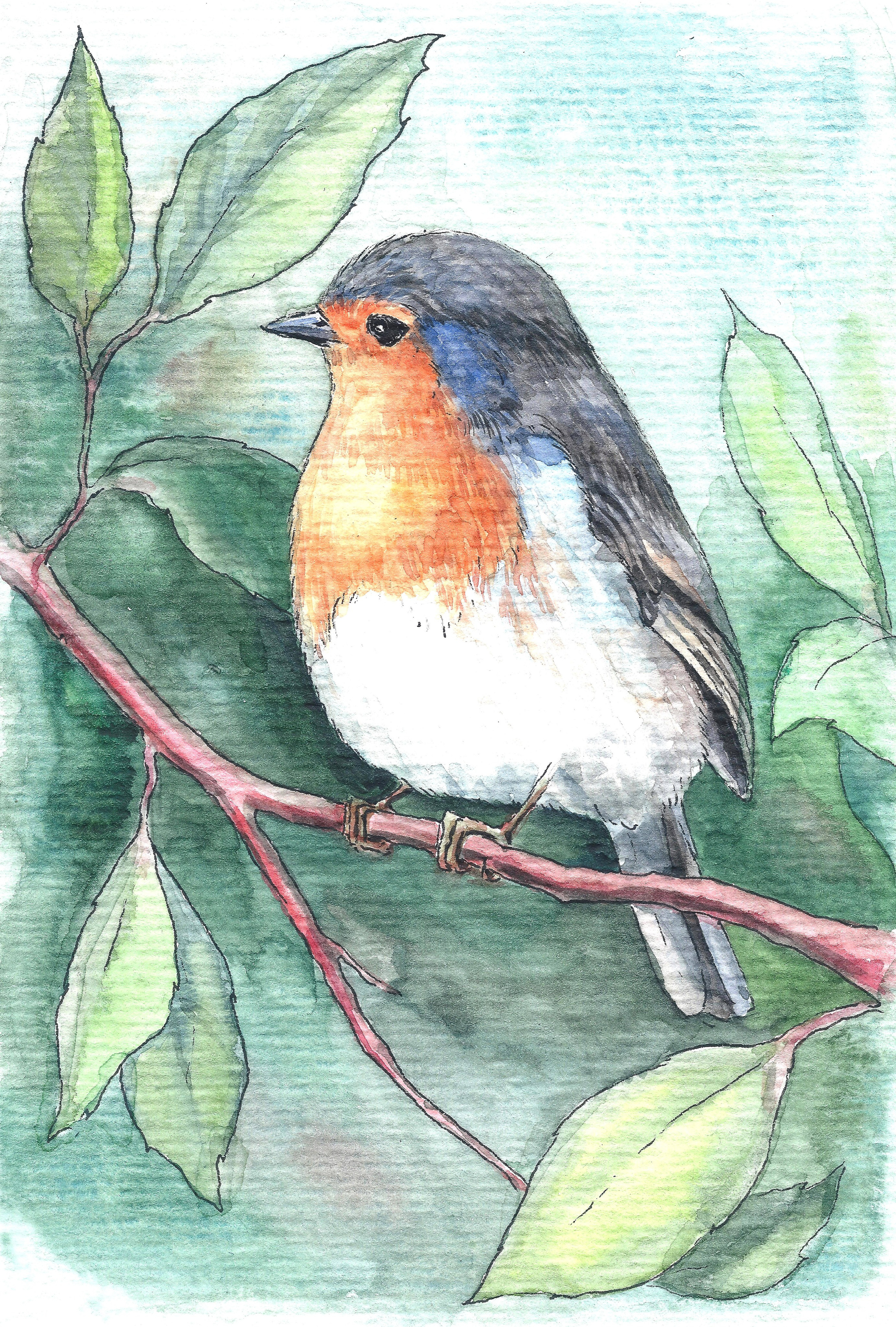 "Птичка", акварель / тушь, 2010