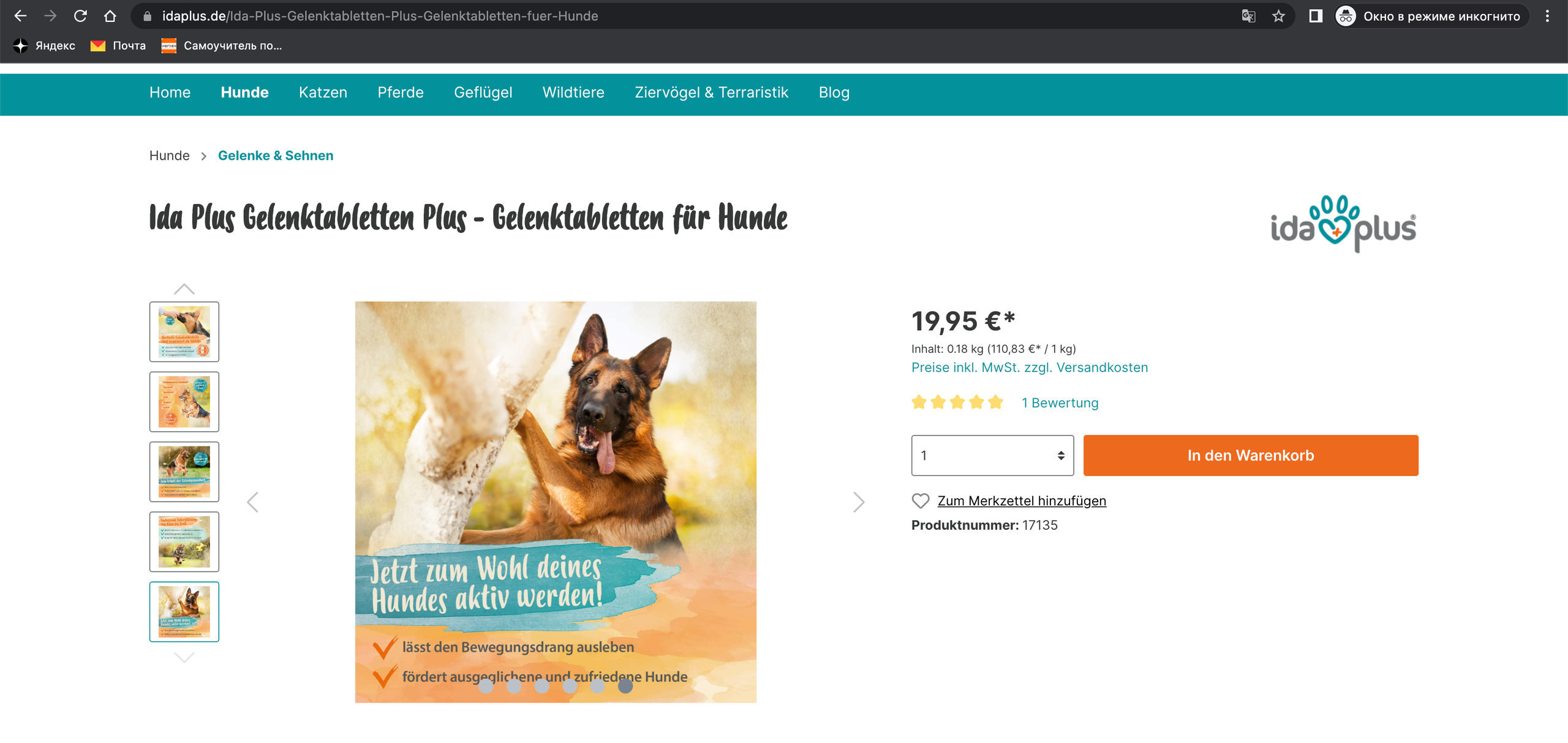 О фотографе TitAnya. Фотограф собак, фотограф-анималист Аня Титова (Titanya). Москва