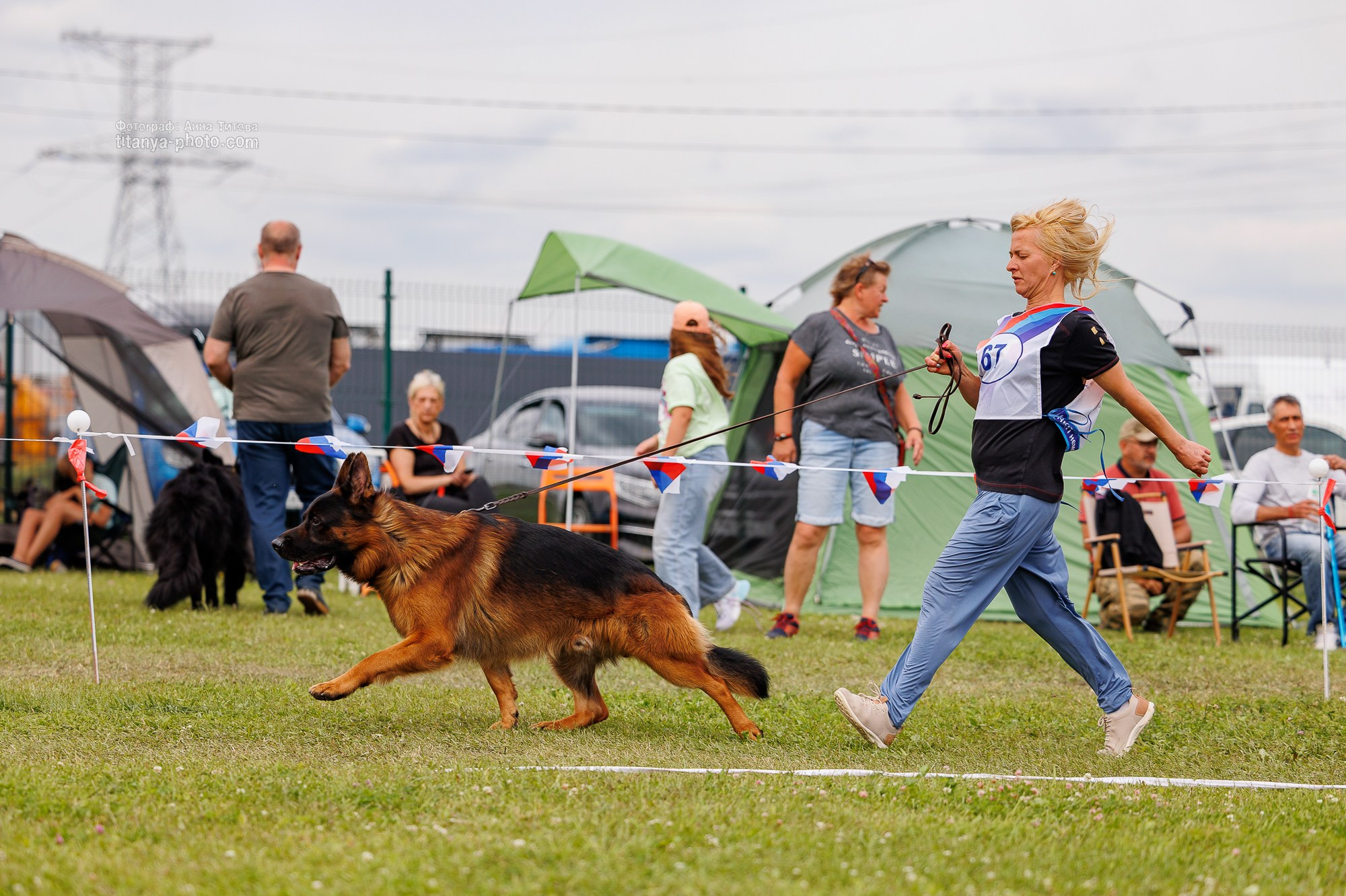 Немецкие овчарки: фото из рингов и вне ринга, мутпроба (фотографии с выставок). Фотограф собак, фотограф-анималист Аня Титова (Titanya). Москва