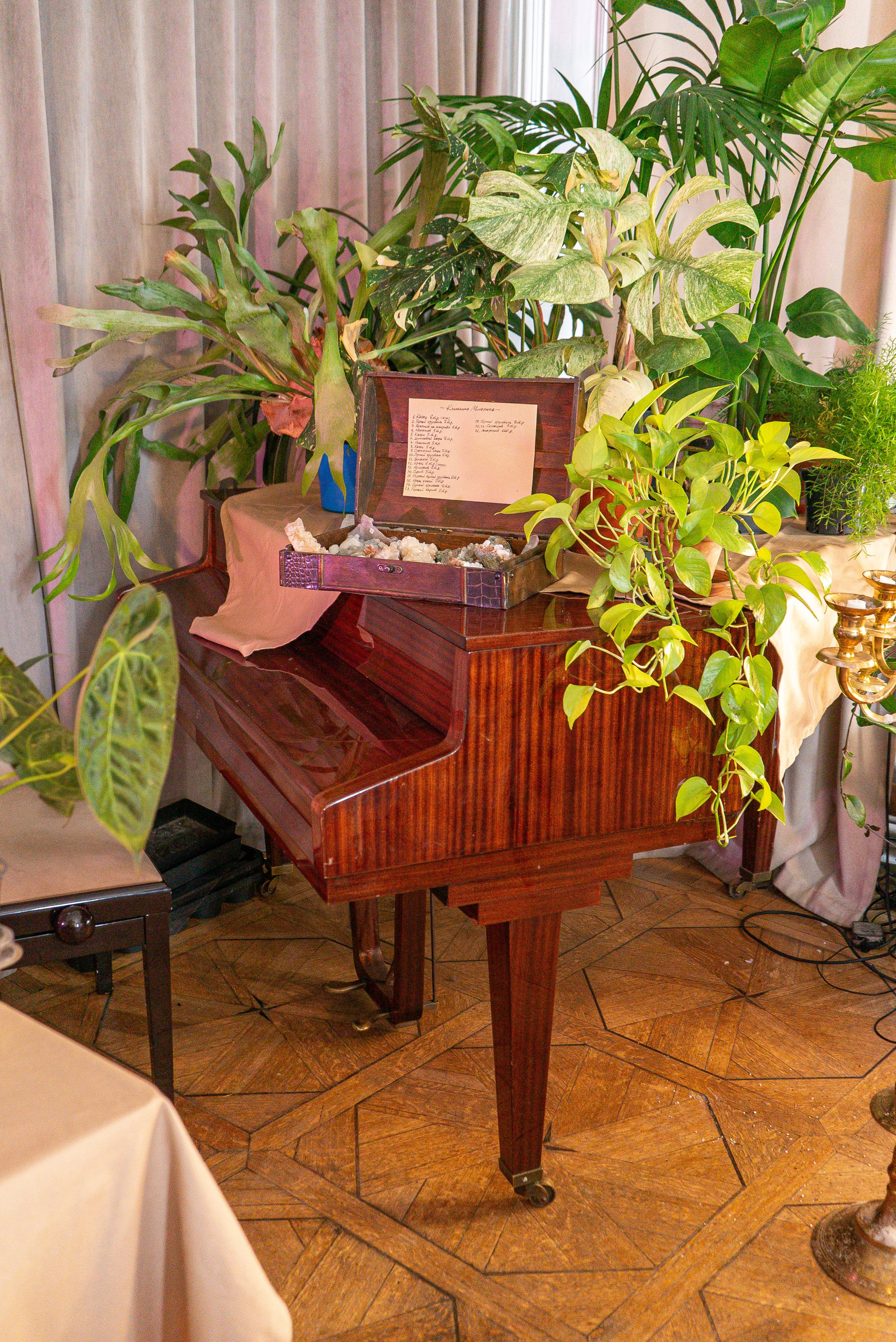 Усадьба. Александра Куликова фотограф, Москва