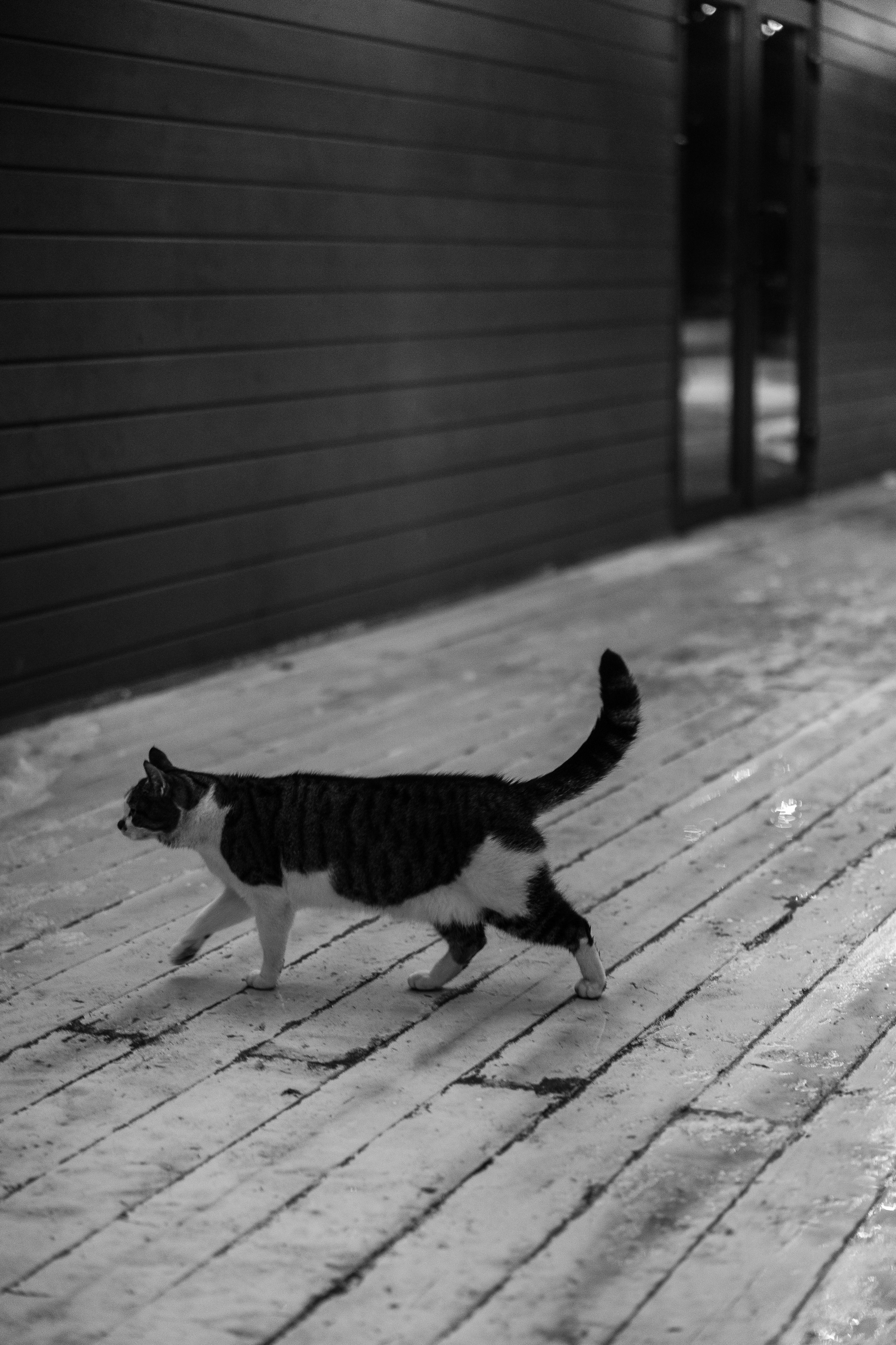 КОРПОРАТИВ «ОБРАЗОВАТЕЛЬНЫЙ СТАНДАРТ». Свадебный и event-фотограф Иван Волнухин