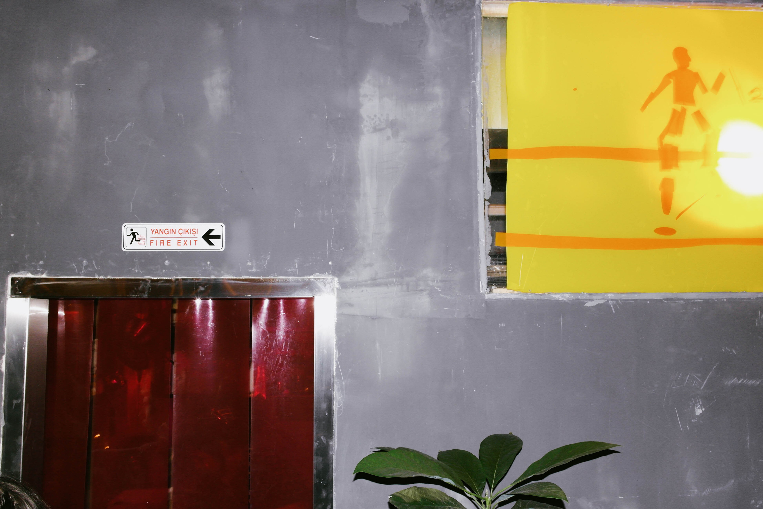 Kontrkult x kiki. Shyjungle's Portfolio