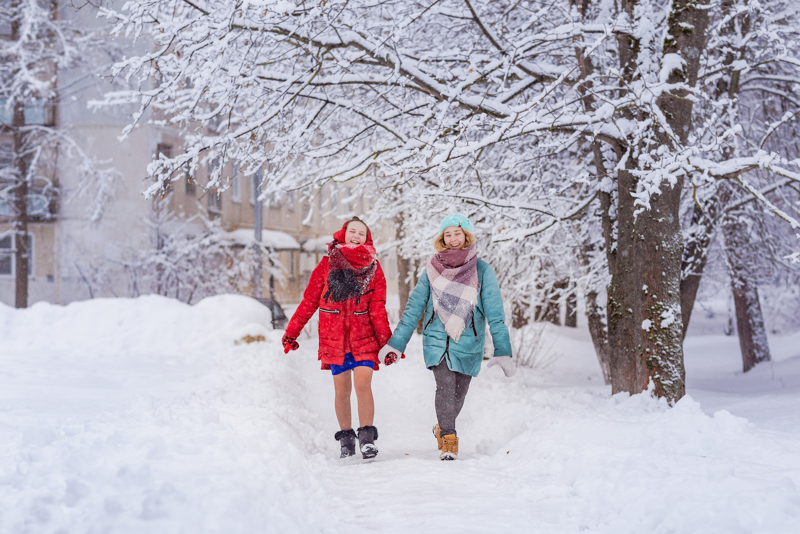 Зимняя прогулка