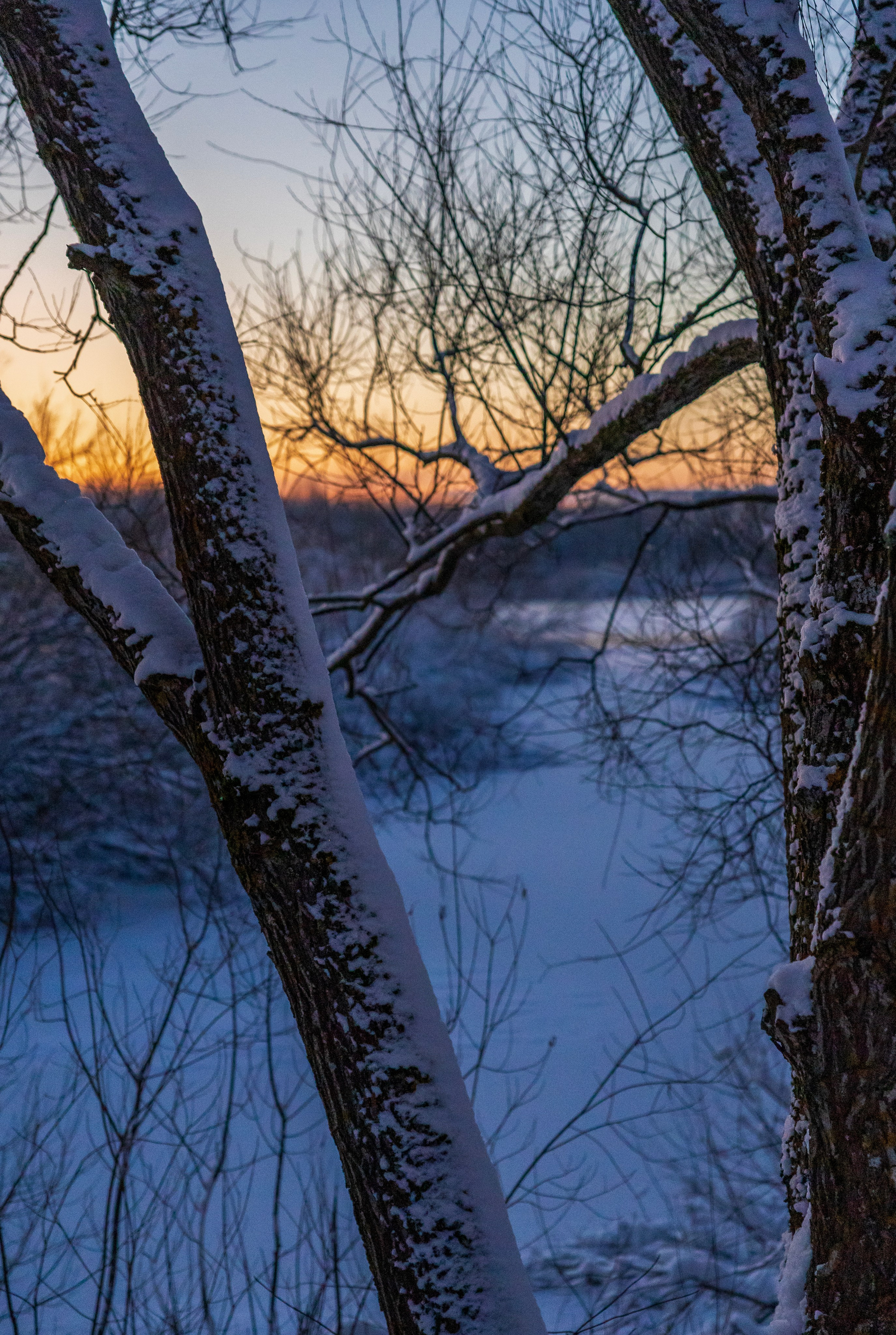 Пейзаж. Фотограф Люся Воробьева