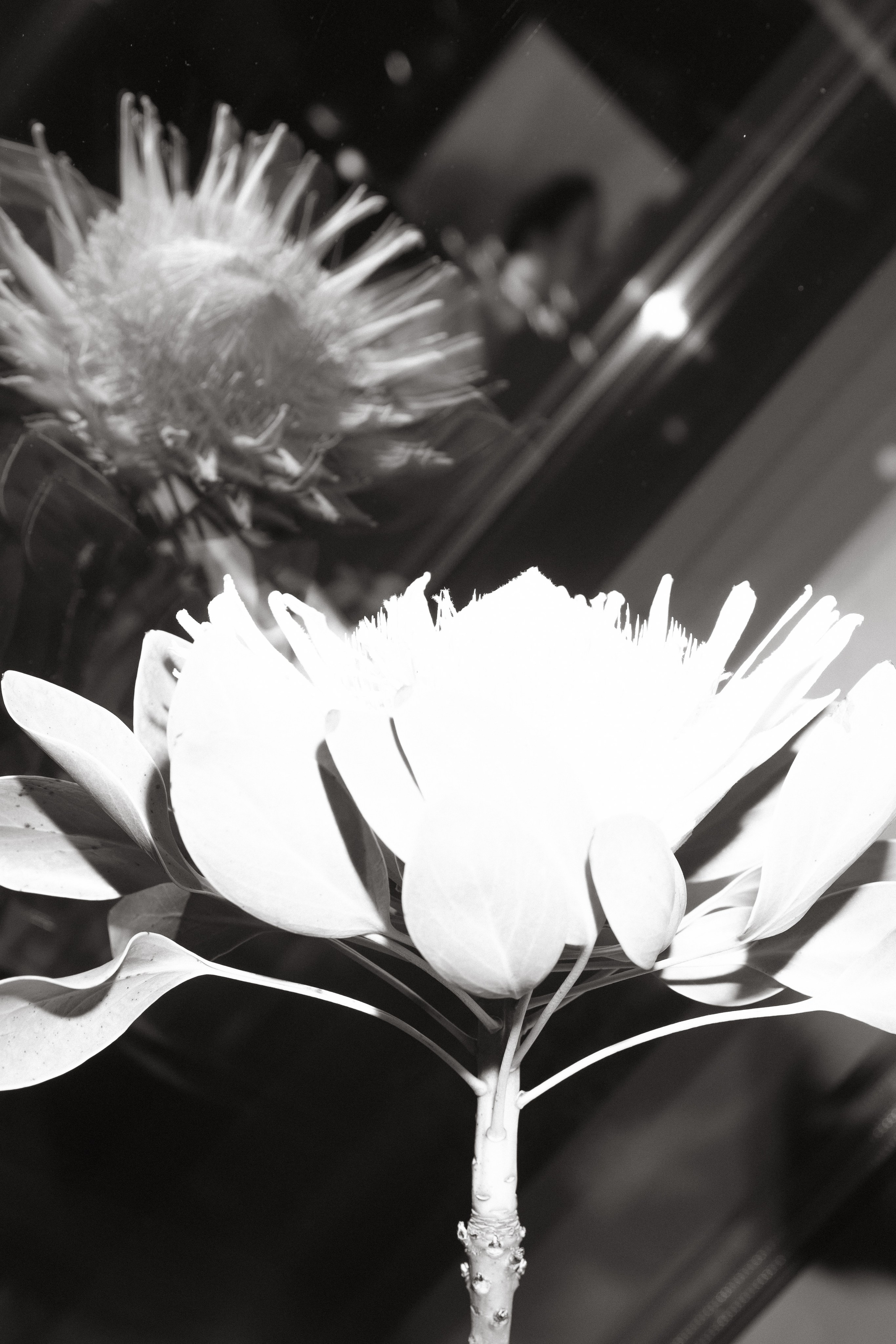 Wedding day Николай & Надежда. Свадебный фотограф Колесников Антон