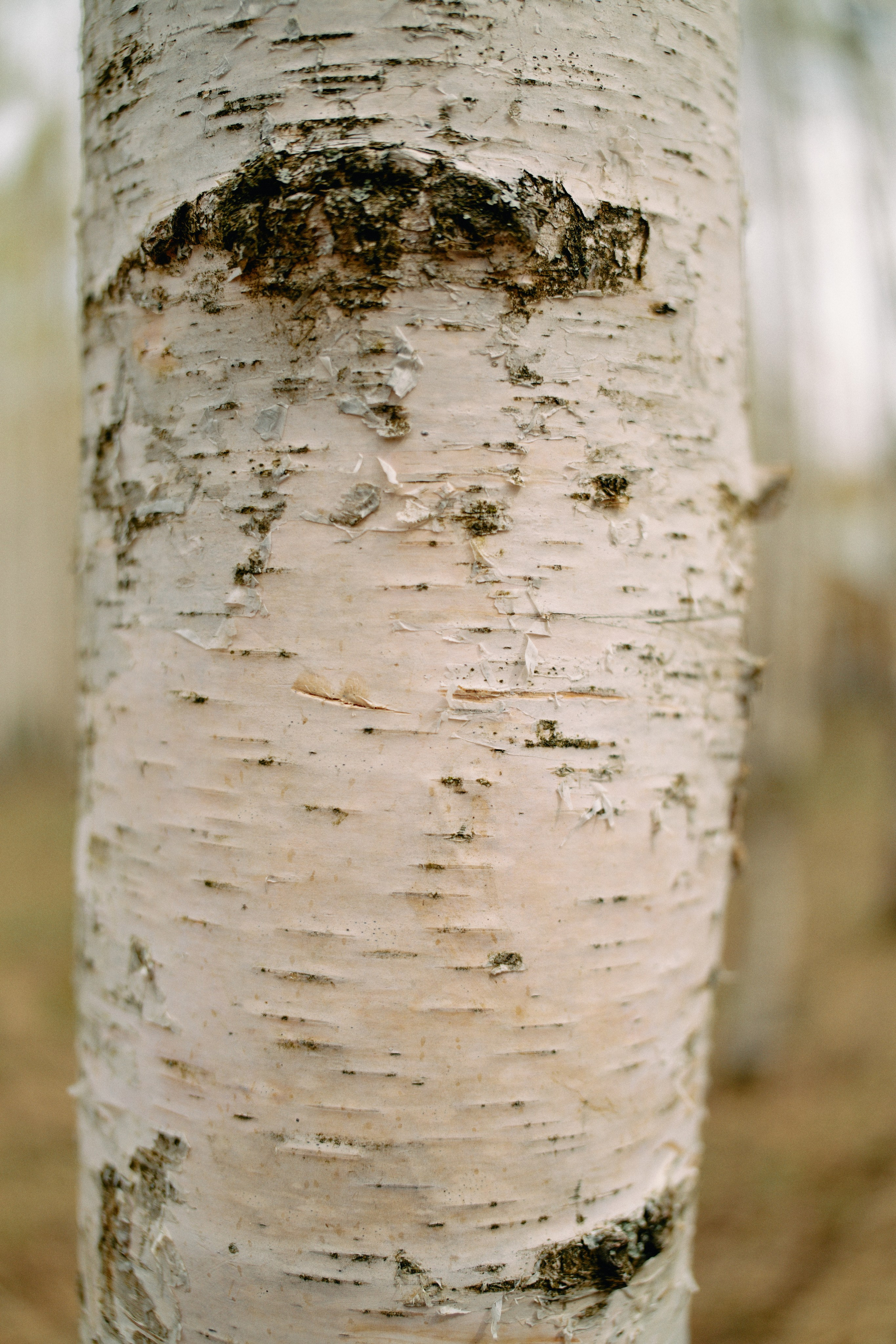 Бутик-отель Поле летом. Профессиональный Фотограф во Владимире, в Москве и в Суздале — Полина Романычева