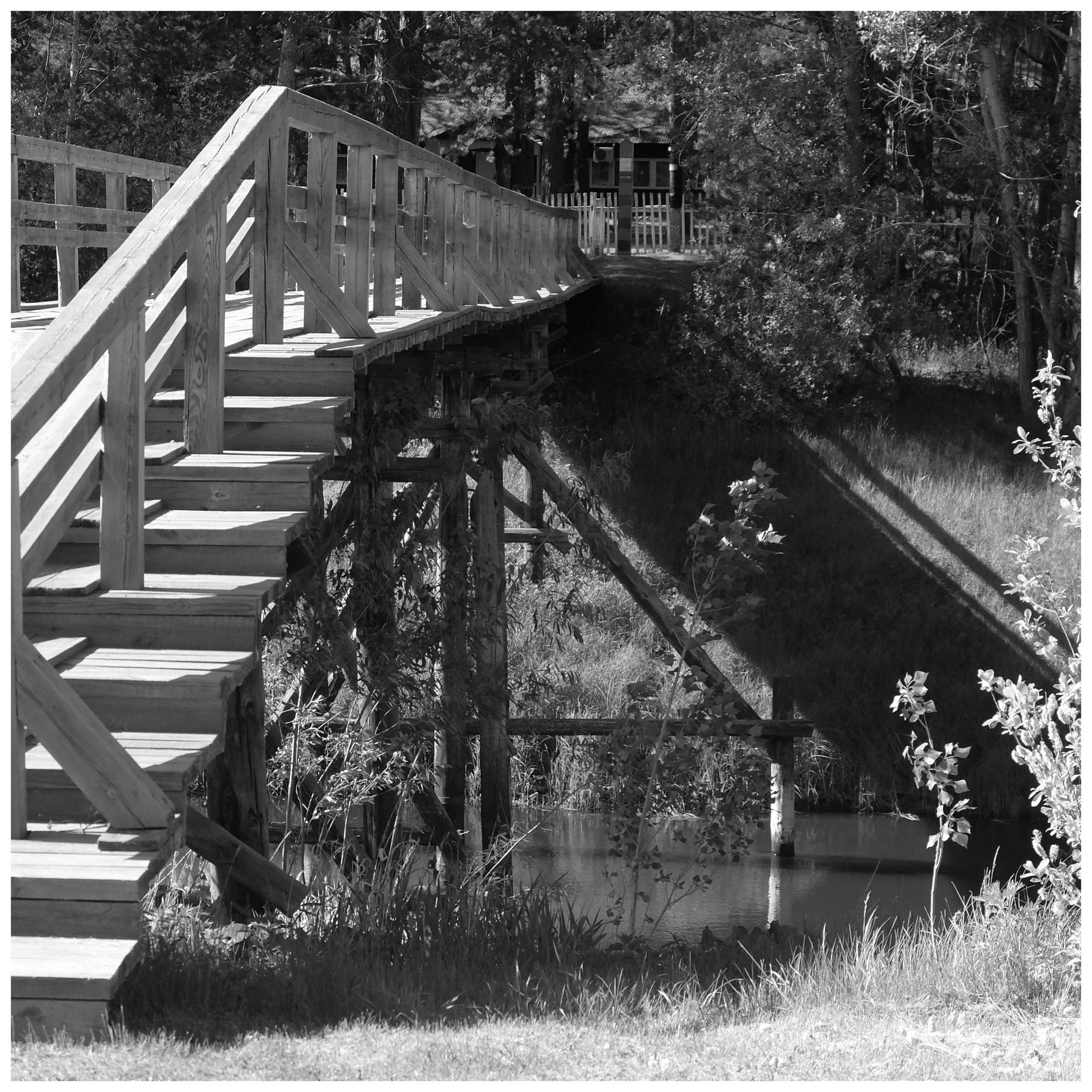 Промежуточные моменты (2022)