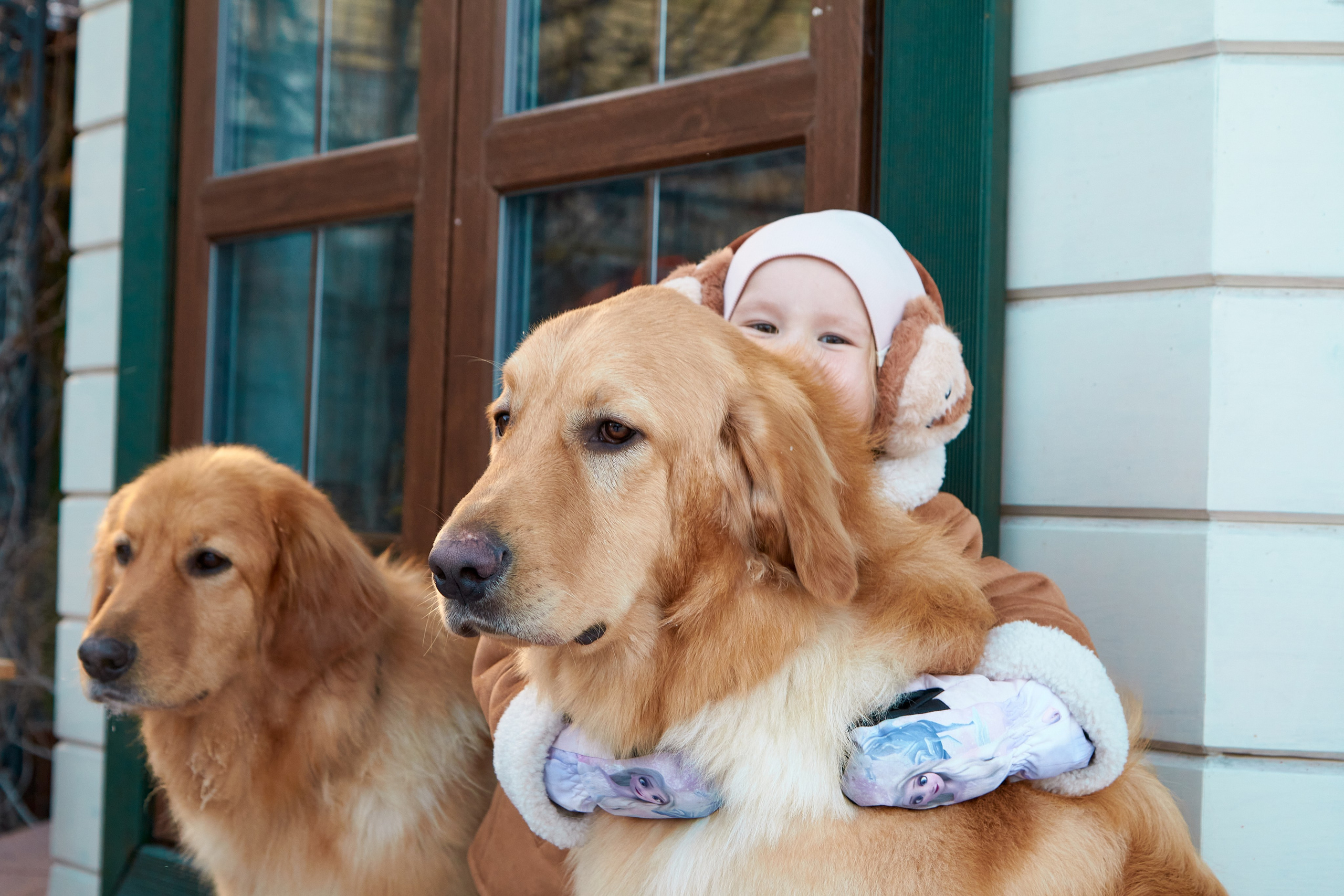 Семейные портреты. Предметный и репортажный фотограф Алексей Кротов