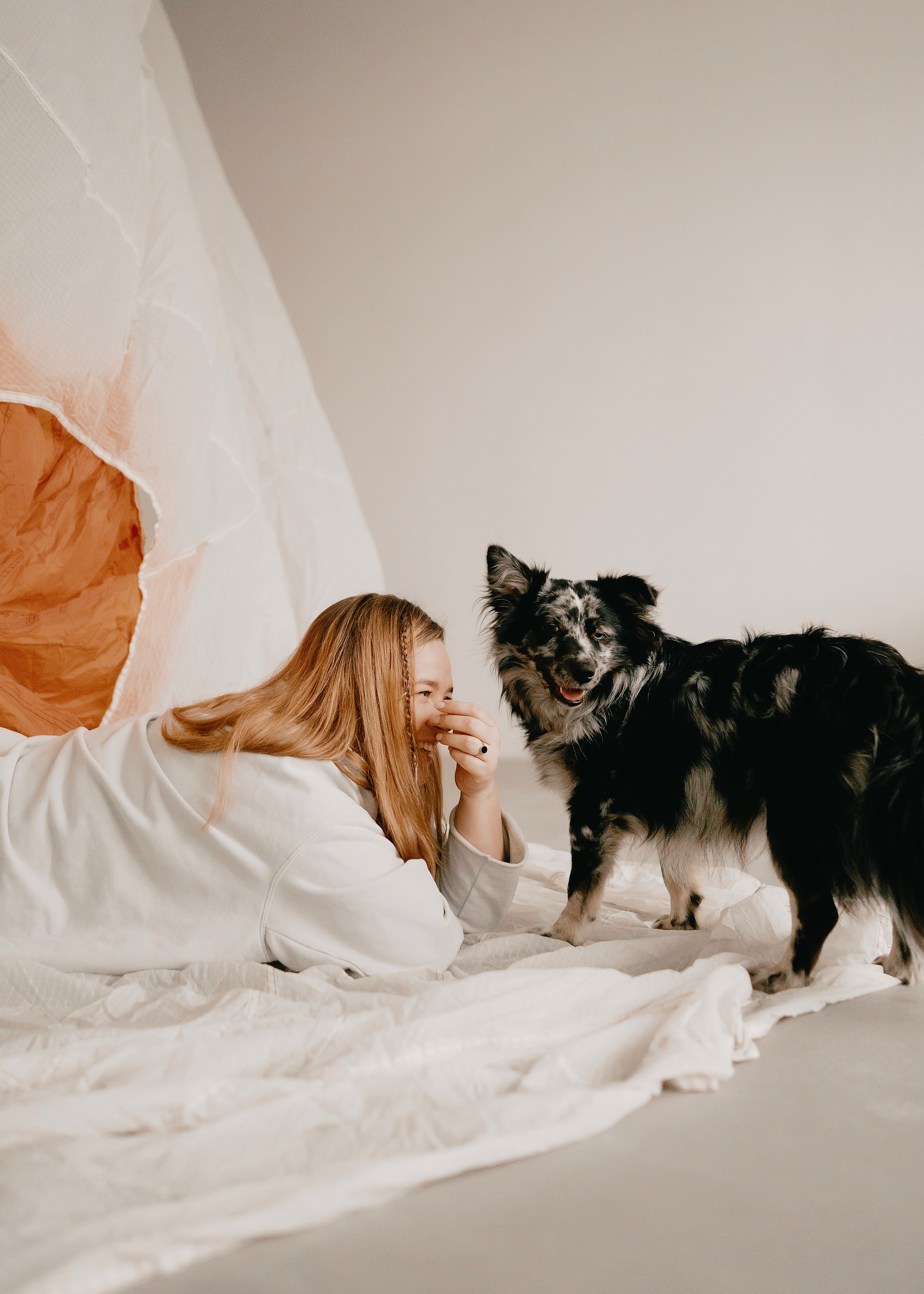 Бублик. Фотограф- анималист Александра Матвеева