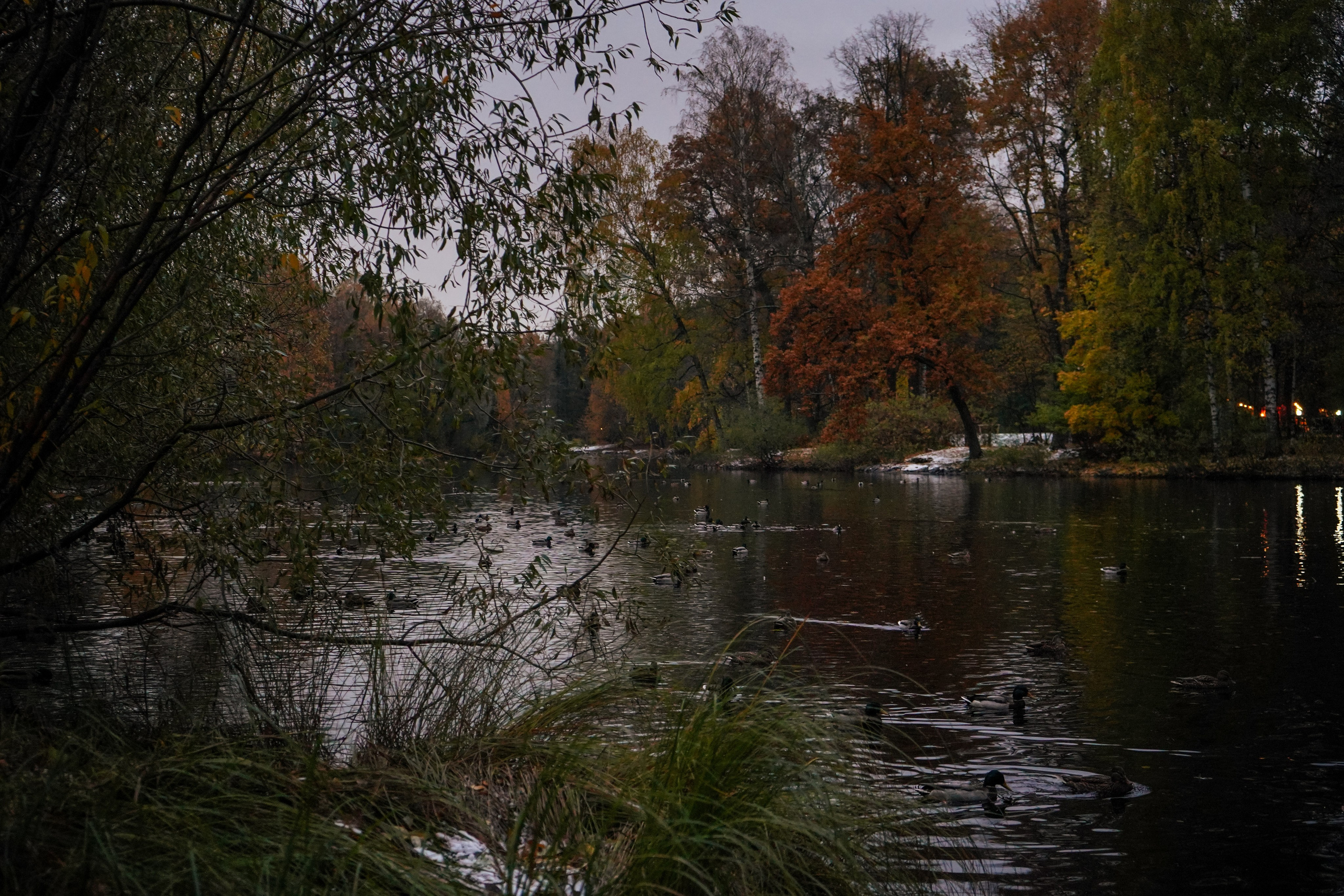 Разное. Фотограф в Санкт-Петербурге Виктория Барышникова